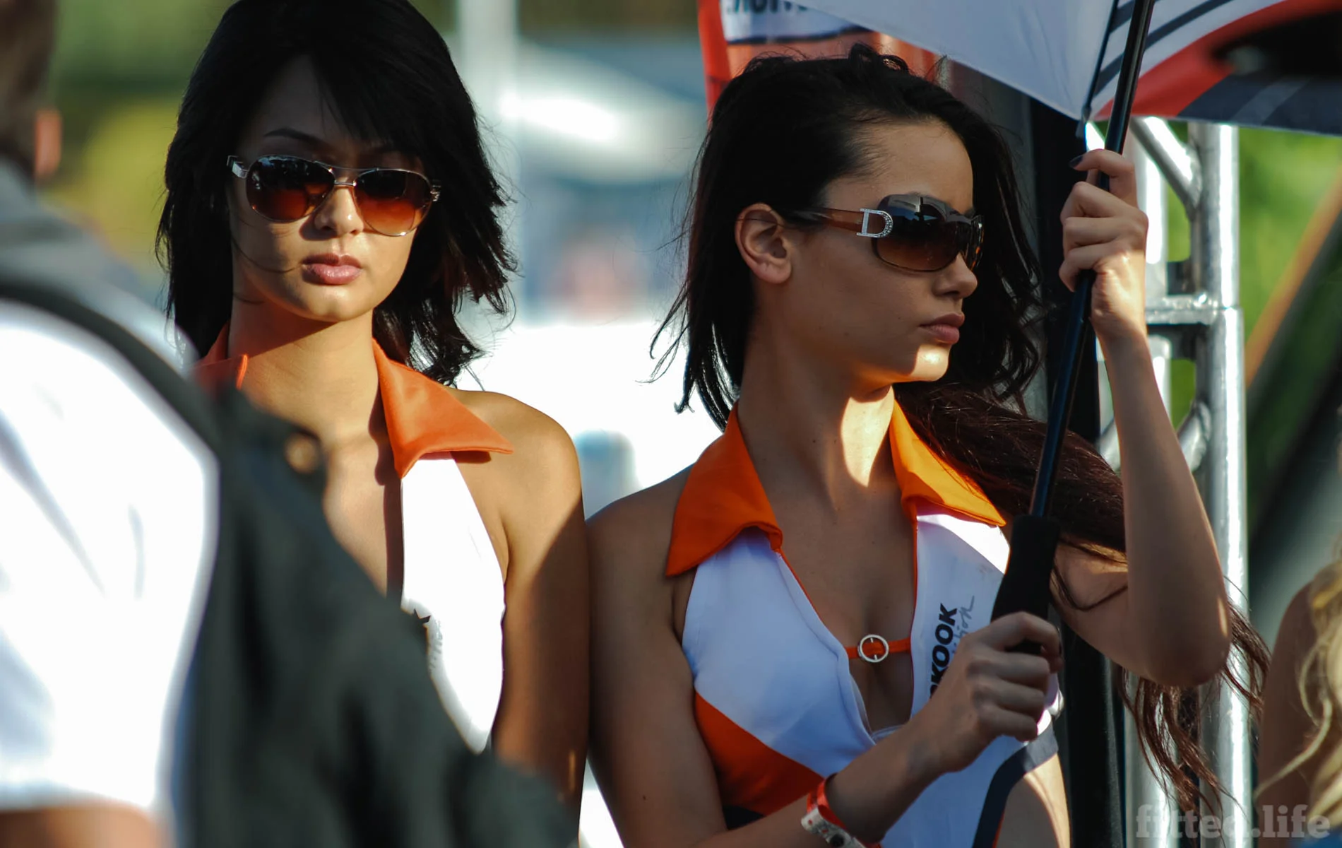 fittedlife_formula_d_2010(8)