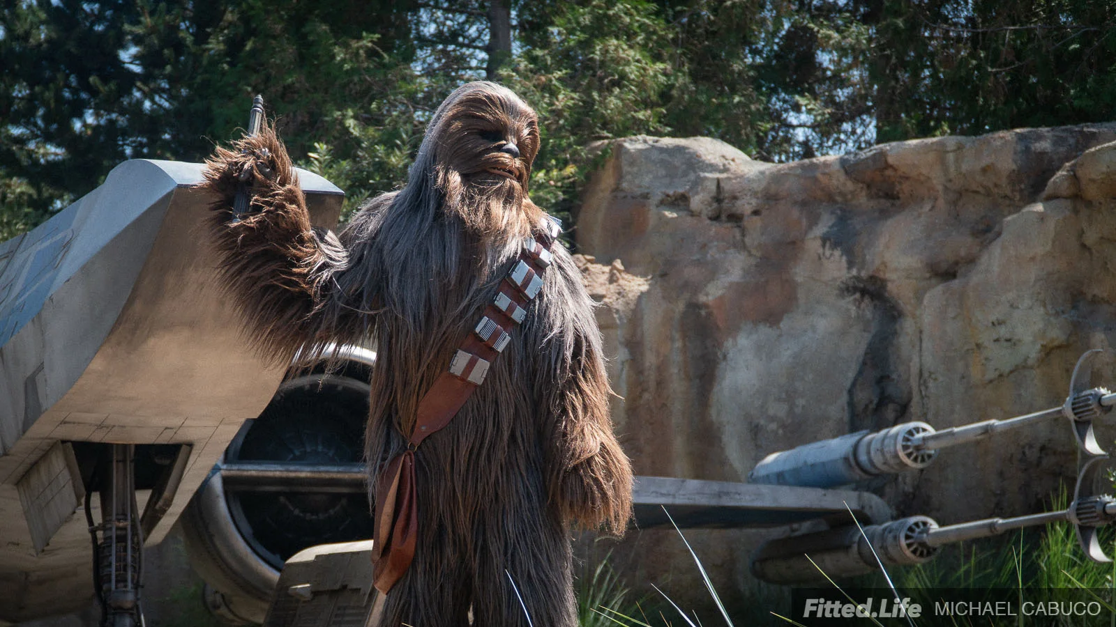 galaxys_edge_star_wars_disneyland_michael_cabuco_chewie_fl.jpg