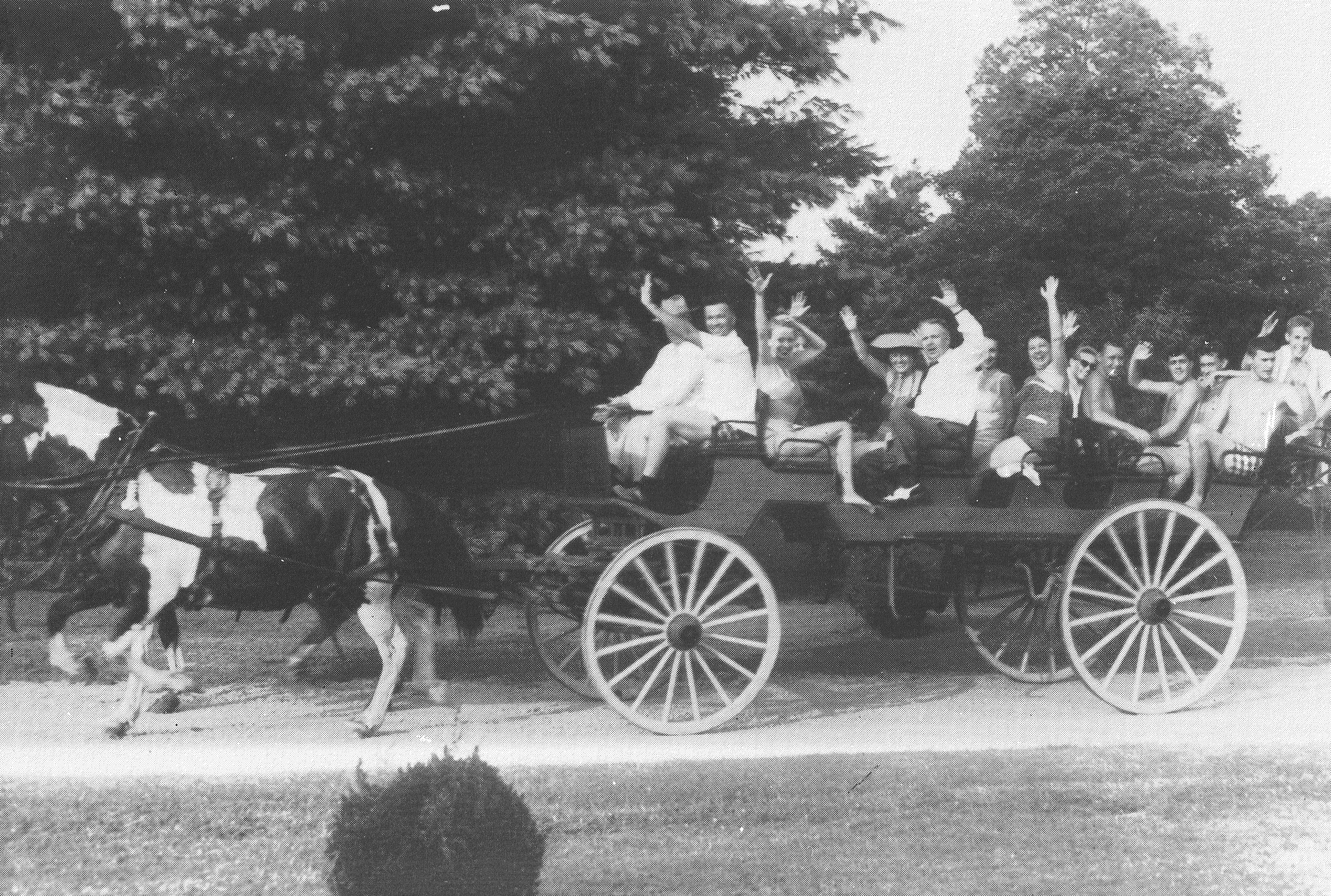 The Farm_Horse Drawn Carriage_0012.jpg