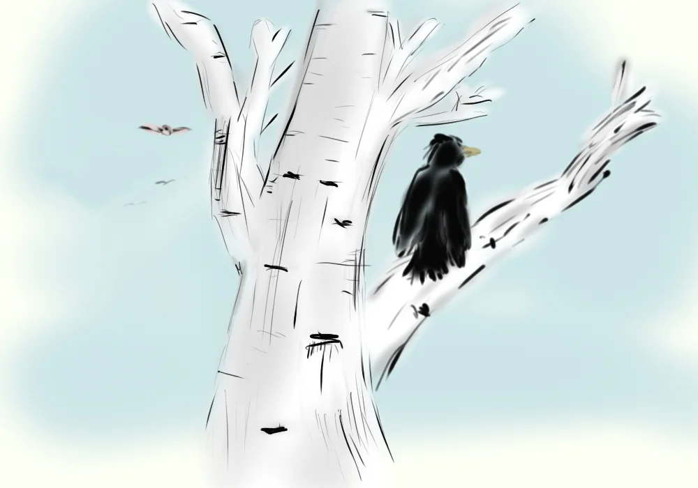 Bouleau-corbeau.jpeg