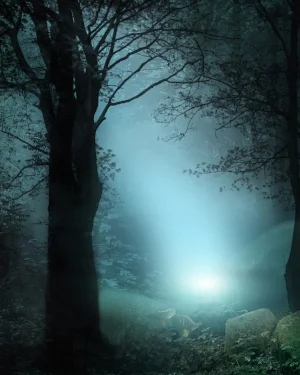forest-fantasy-16.jpg