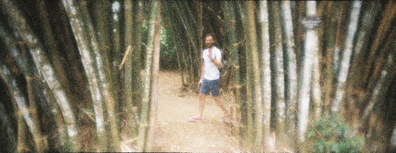 Kandy_Bambou_small.gif