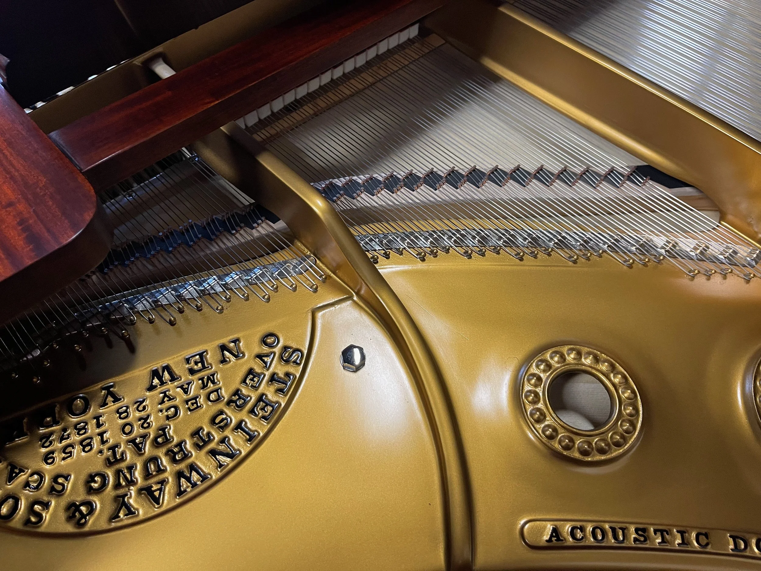 A TULIP - 1 (5).jpeg