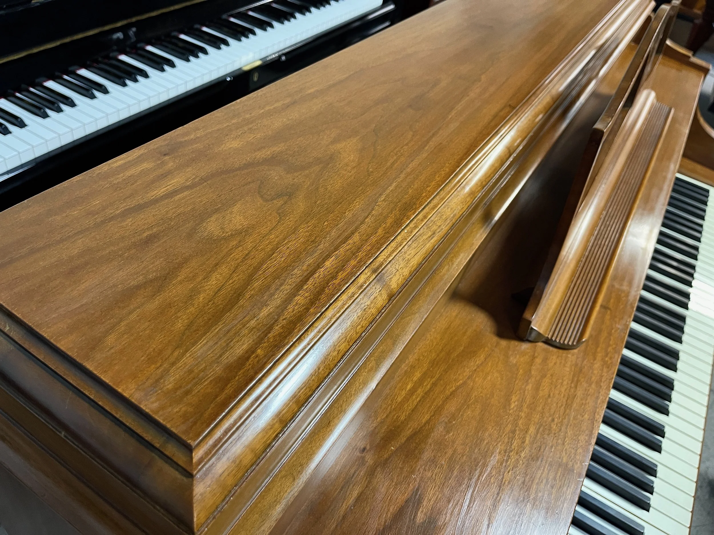 STEIN CON W - 1 (5).jpeg