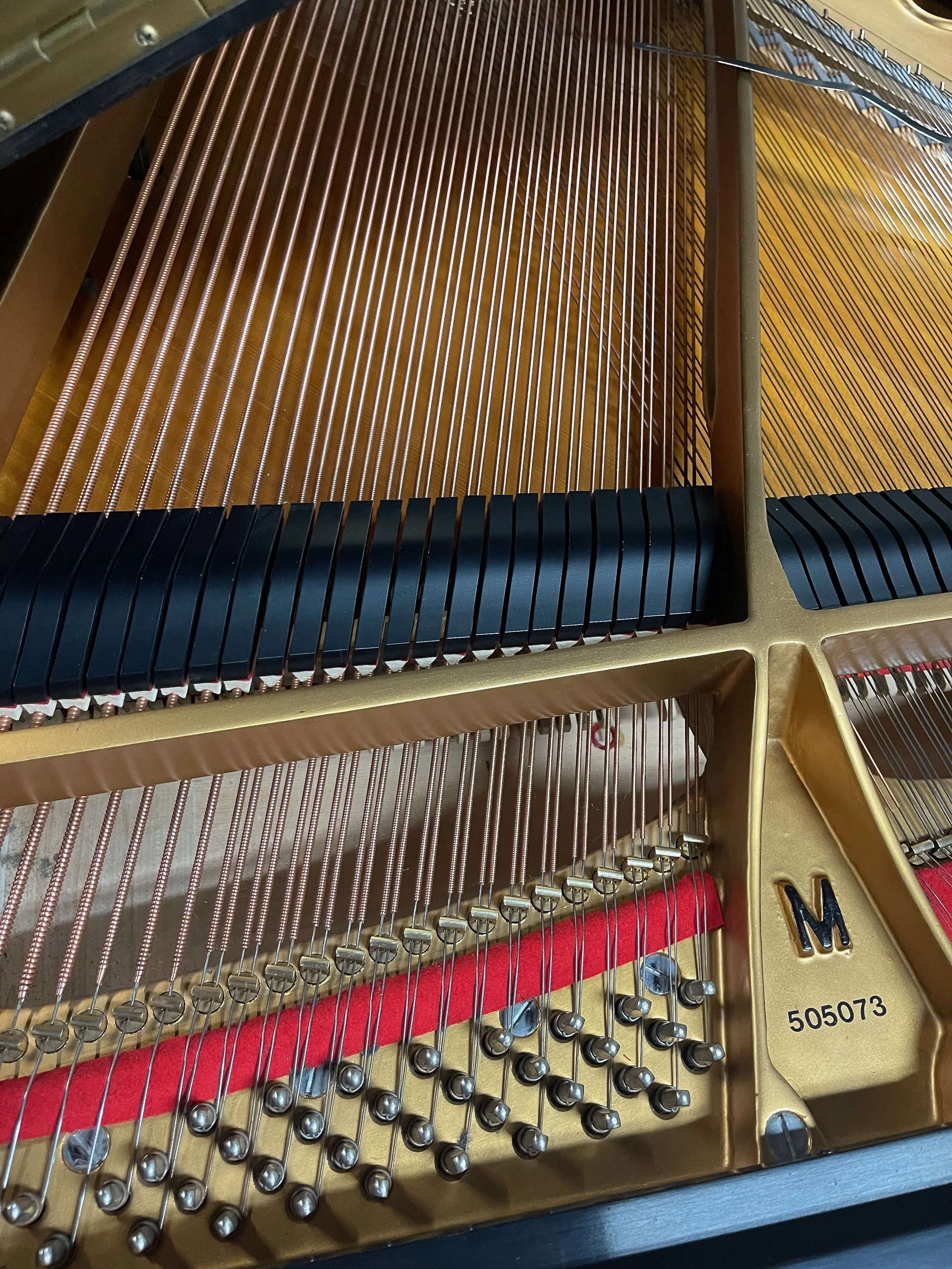 molfetta m - 1 (13).jpeg