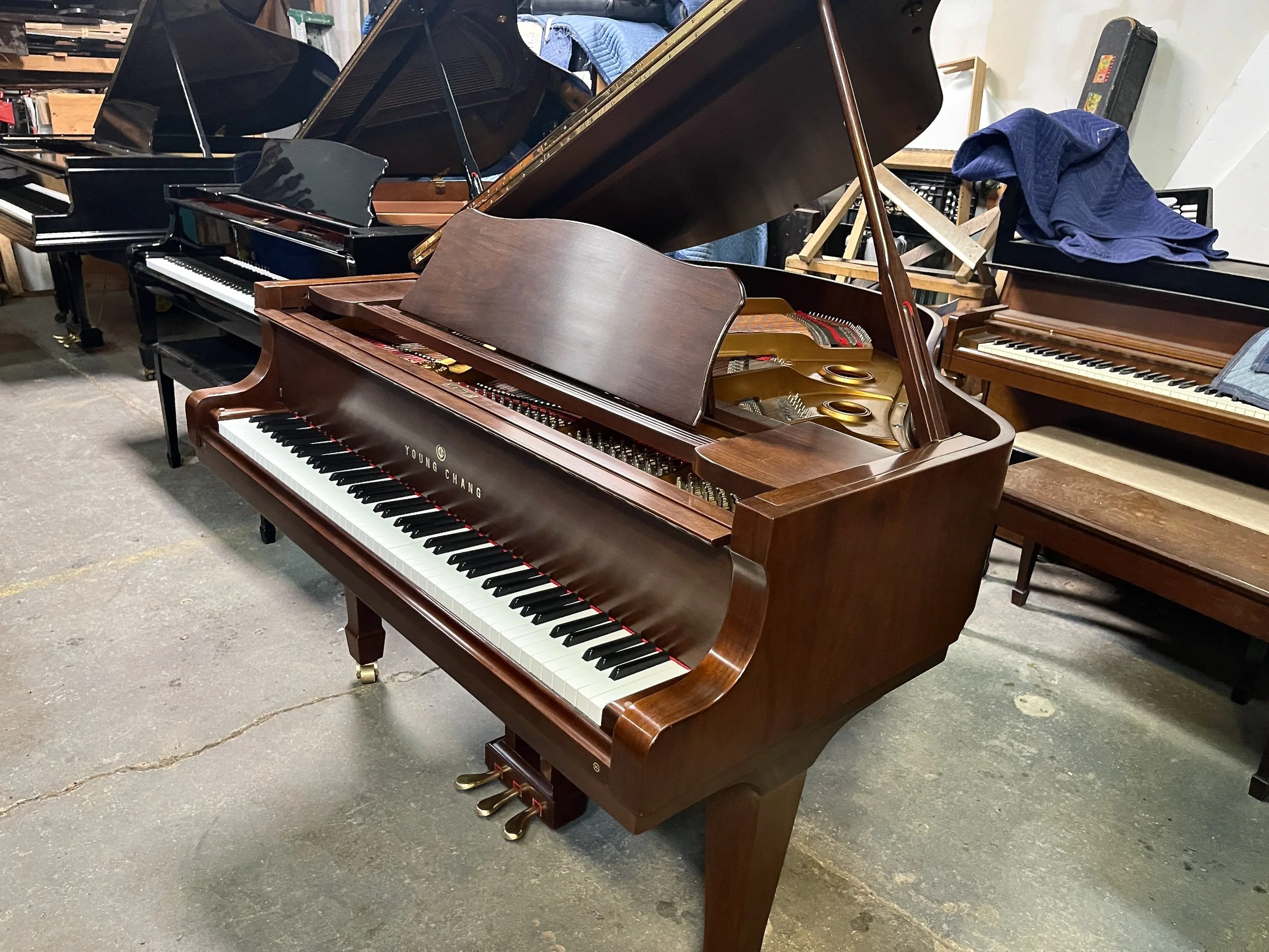 YC 157 WAL - 1 (7).jpeg