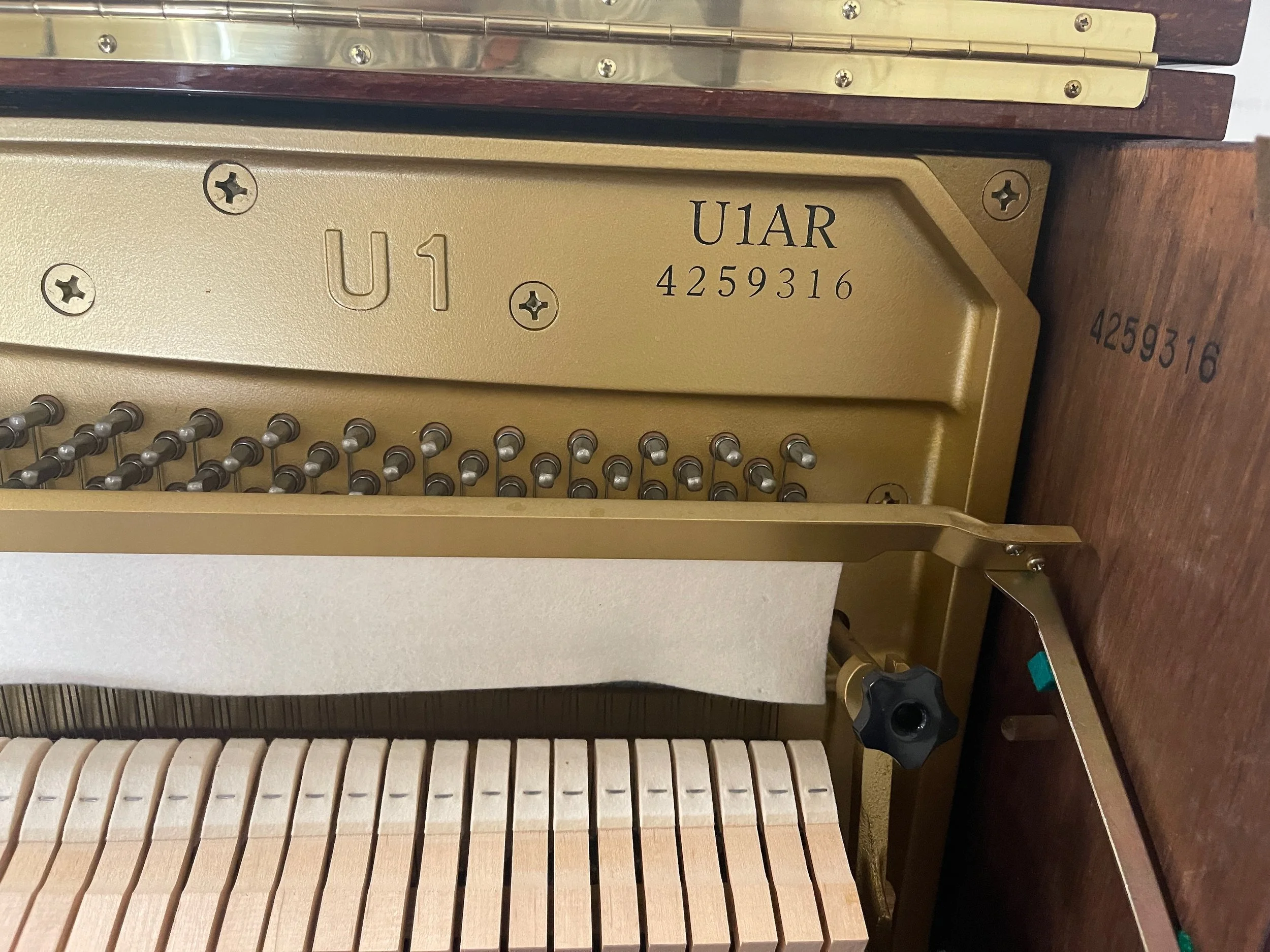 U1 AR WAL - 1 (5).jpeg