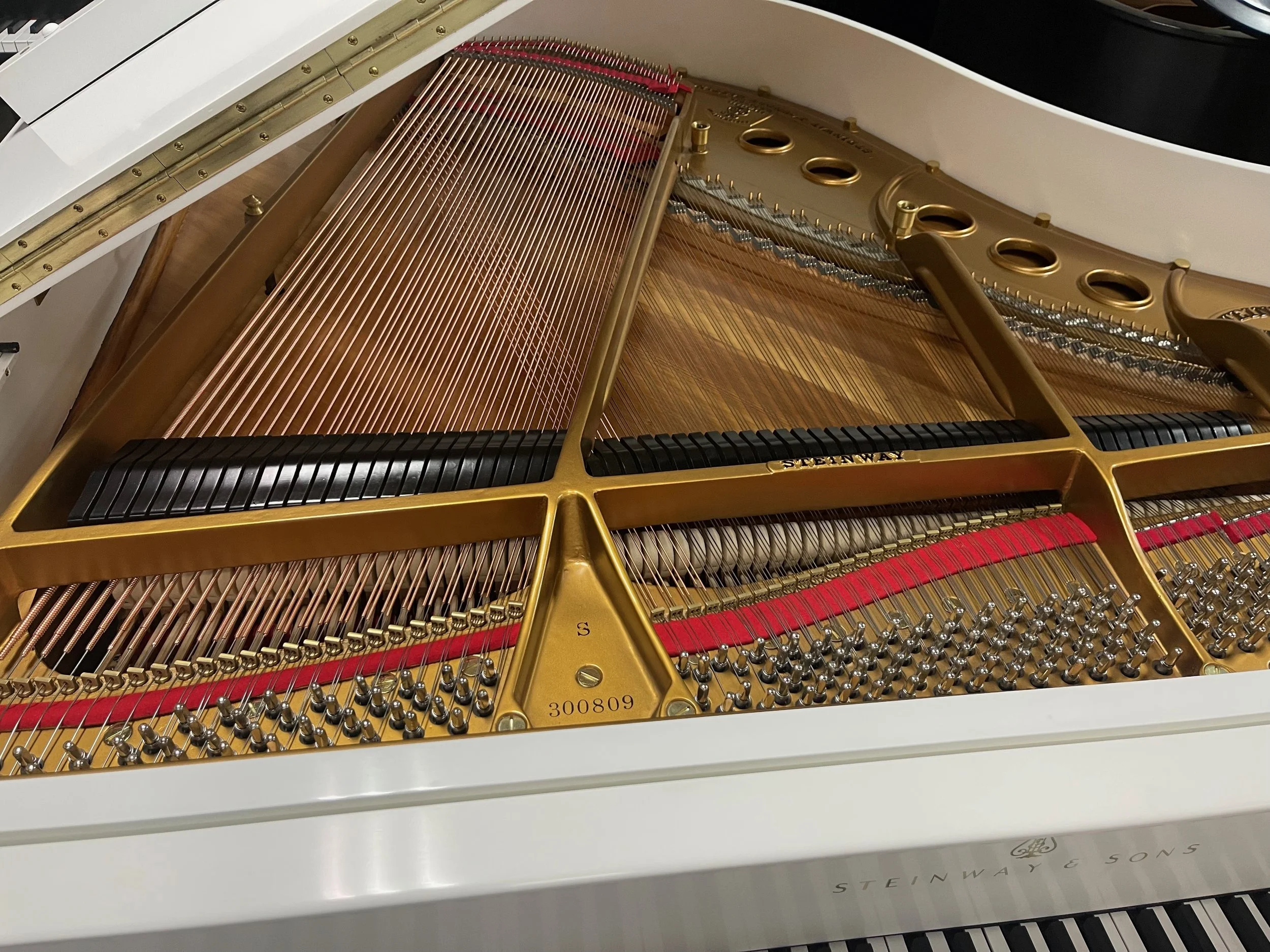 S WHITE - 1 (10).jpeg