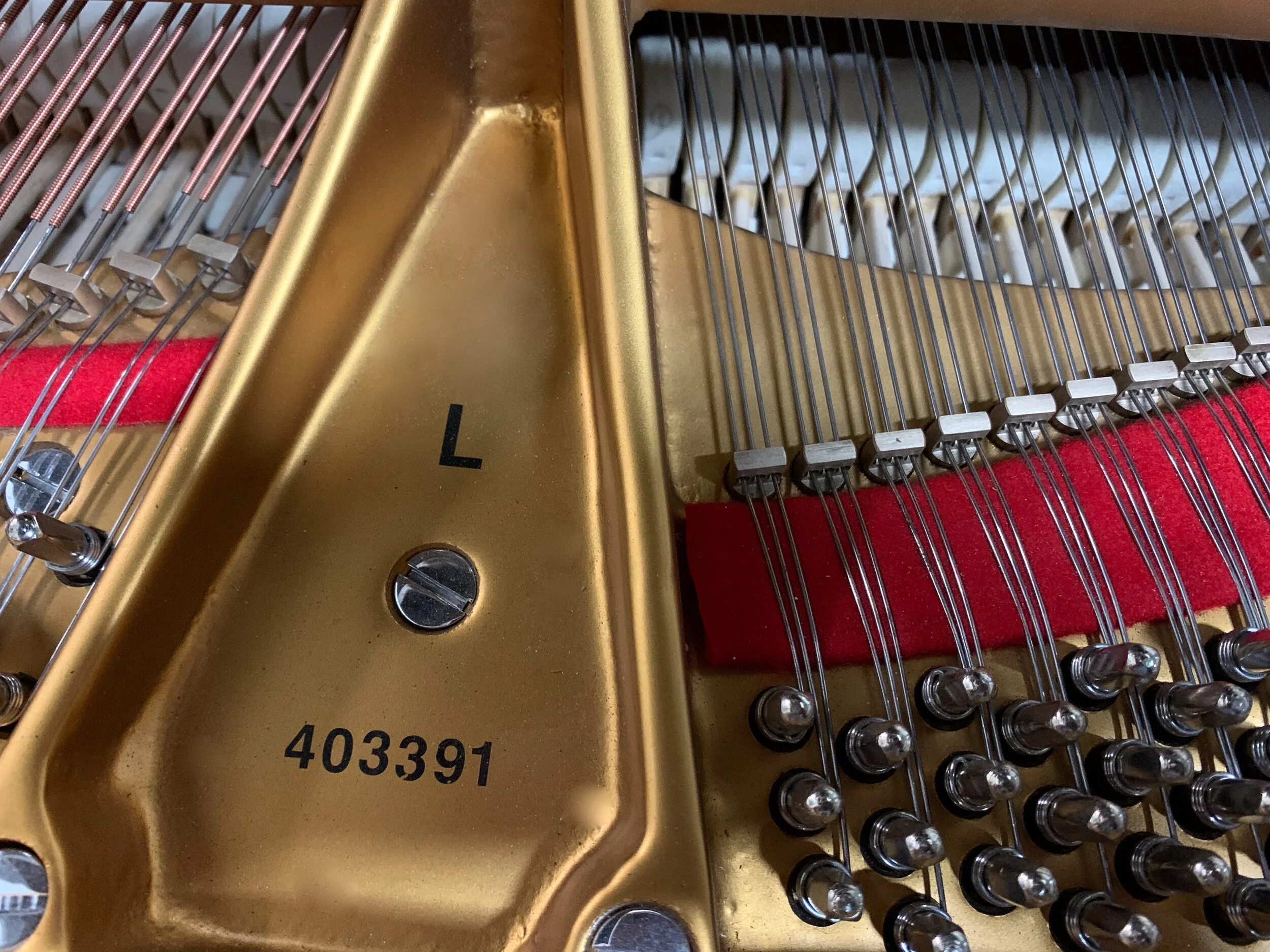 YONKERS L2 - 1 (2).jpeg