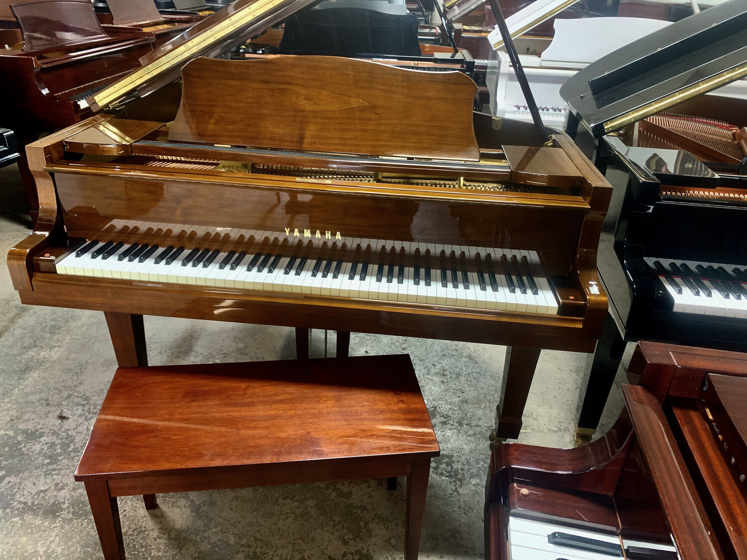 semilla Simpático Órgano digestivo Yamaha G1 Grand Piano 1985 — PianoTek Pianos Since 1979
