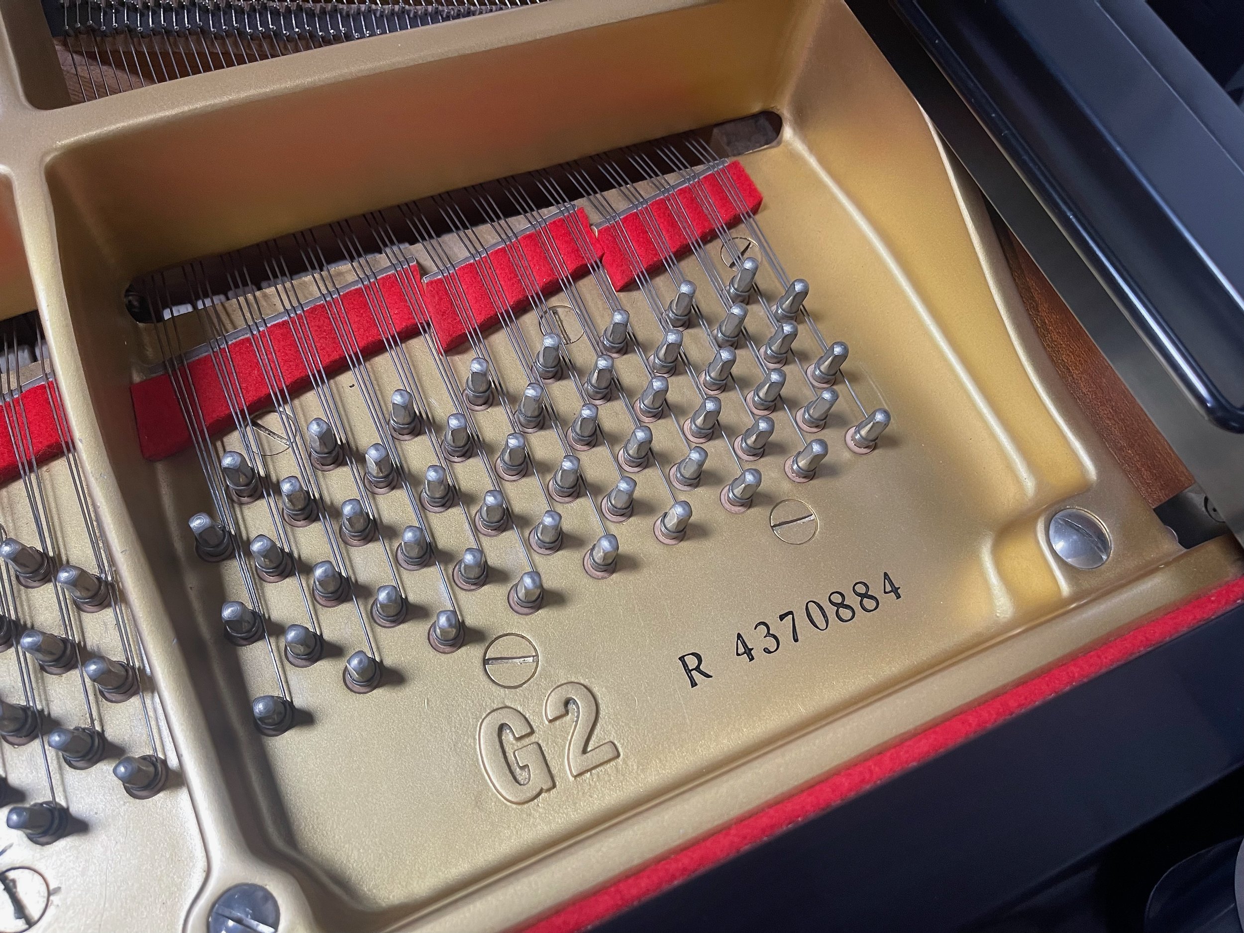 G2 Satin - 1 (6).jpeg