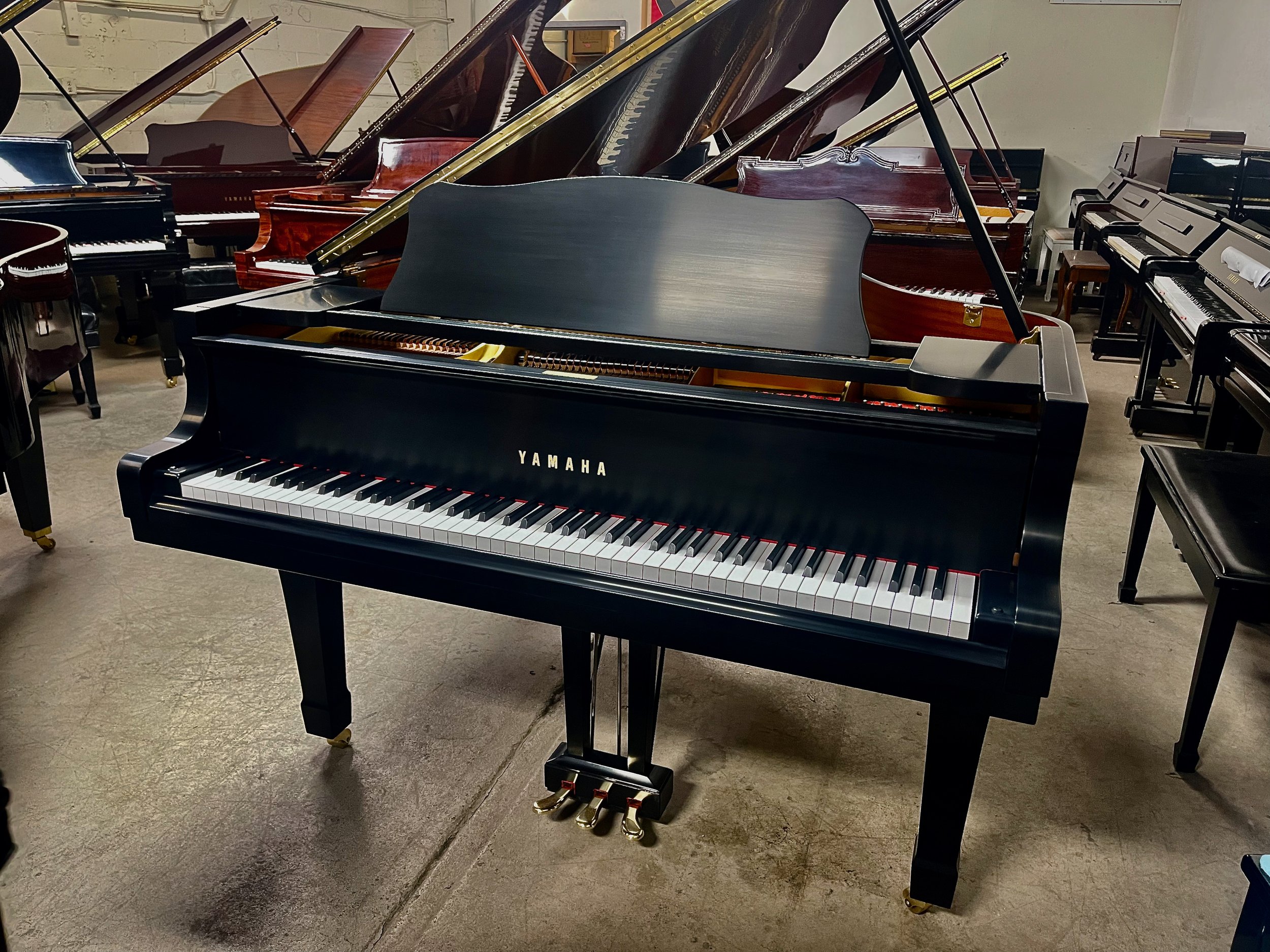 G2 Satin - 1 (2).jpeg