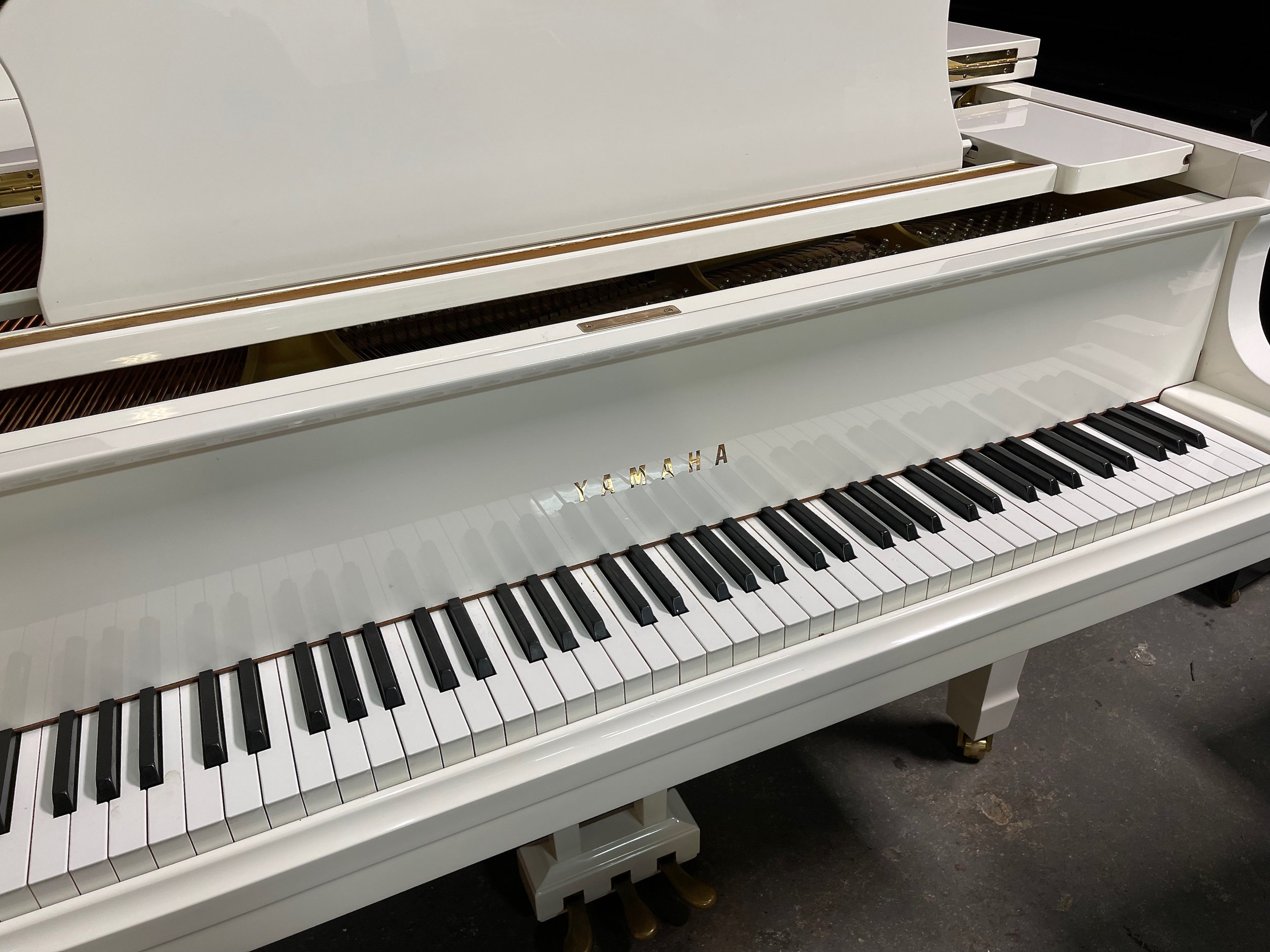 G1 WHITE - 1 (3).jpeg