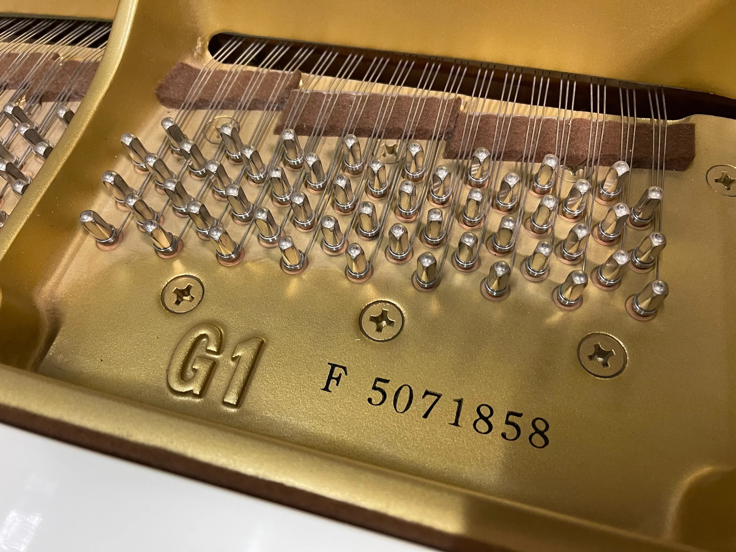 G1 WHITE - 1 (4).jpeg