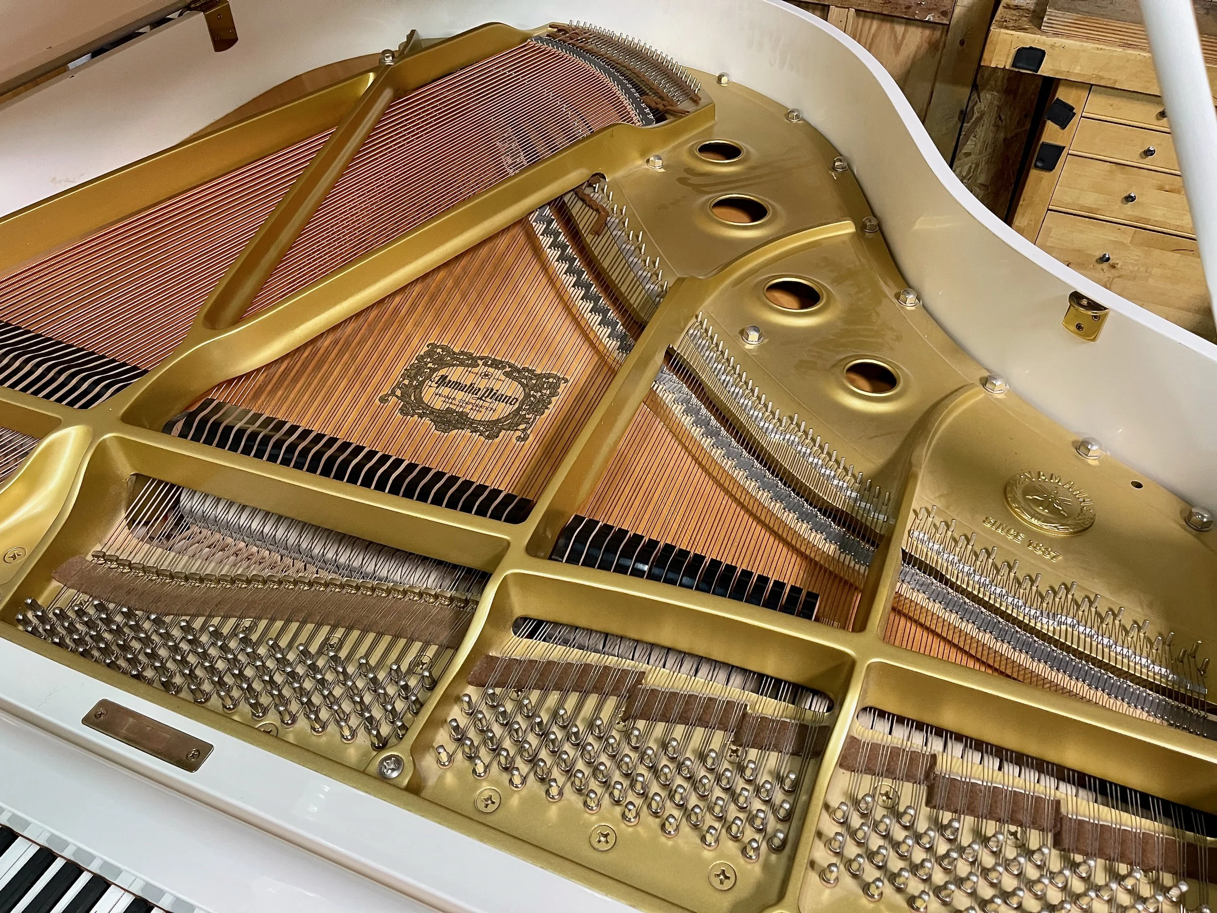 G1 WHITE - 1 (7).jpeg