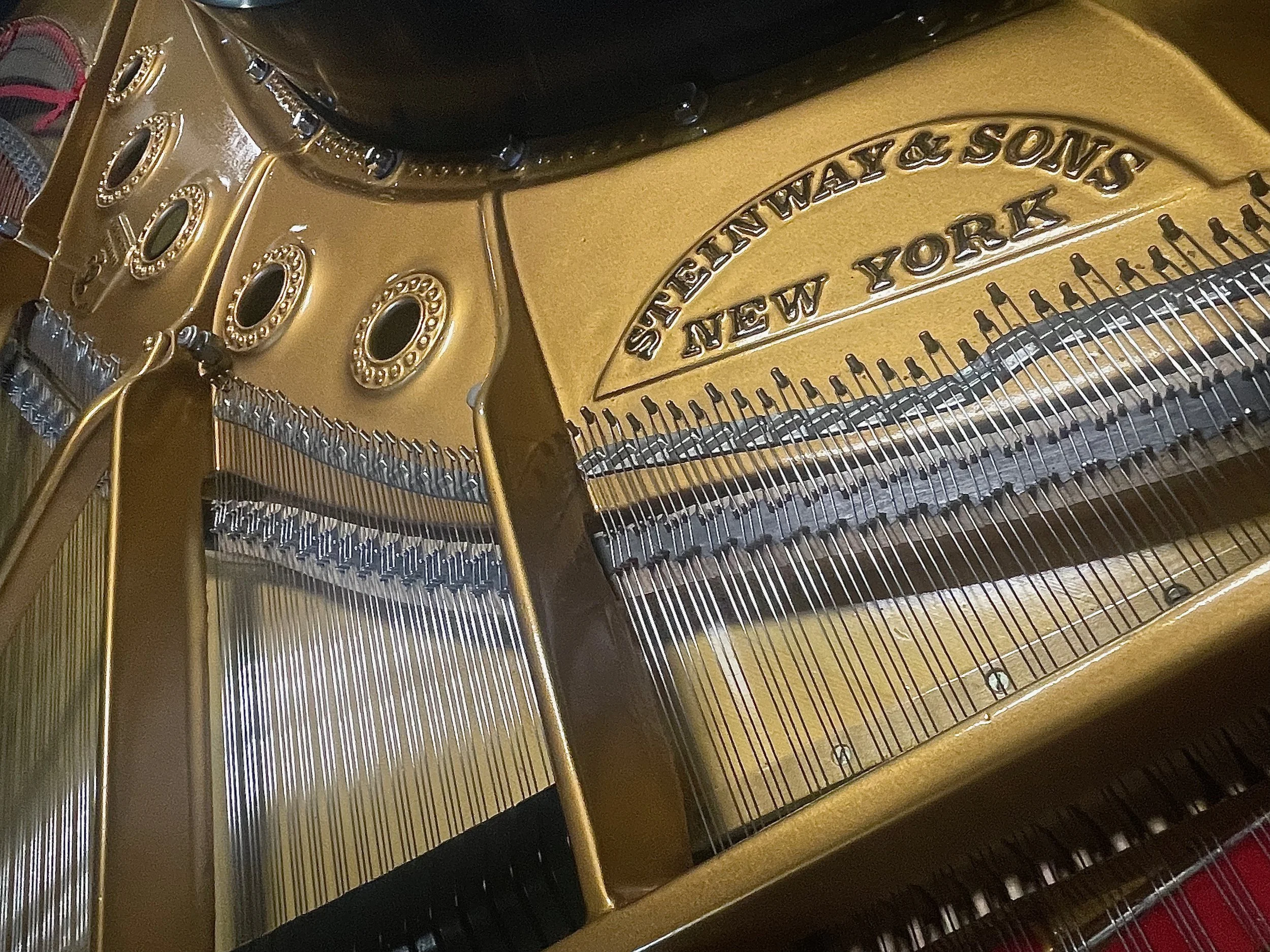 B Primier - 1 (7).jpeg