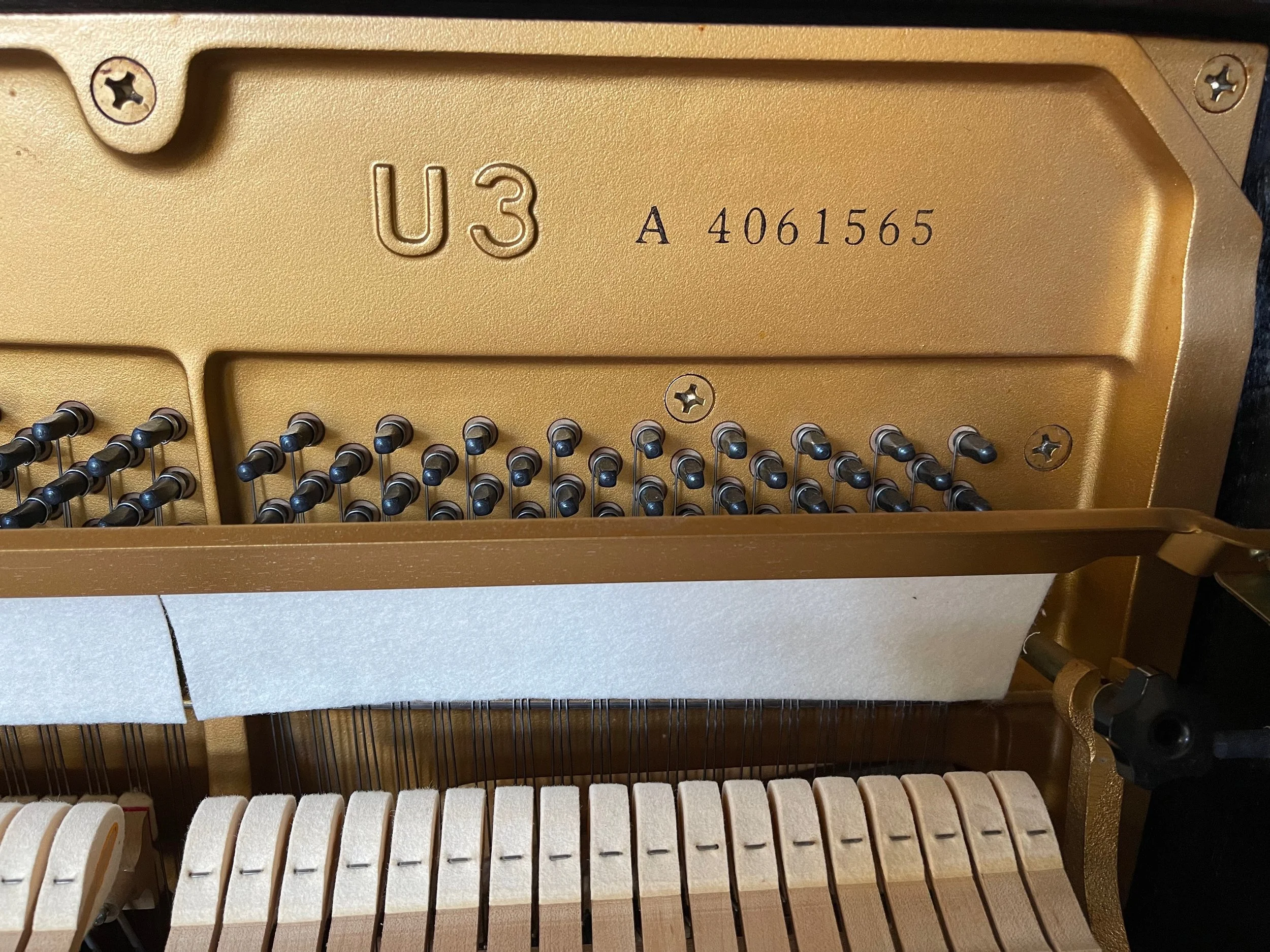 U3  85 2 - 1 (5).jpeg