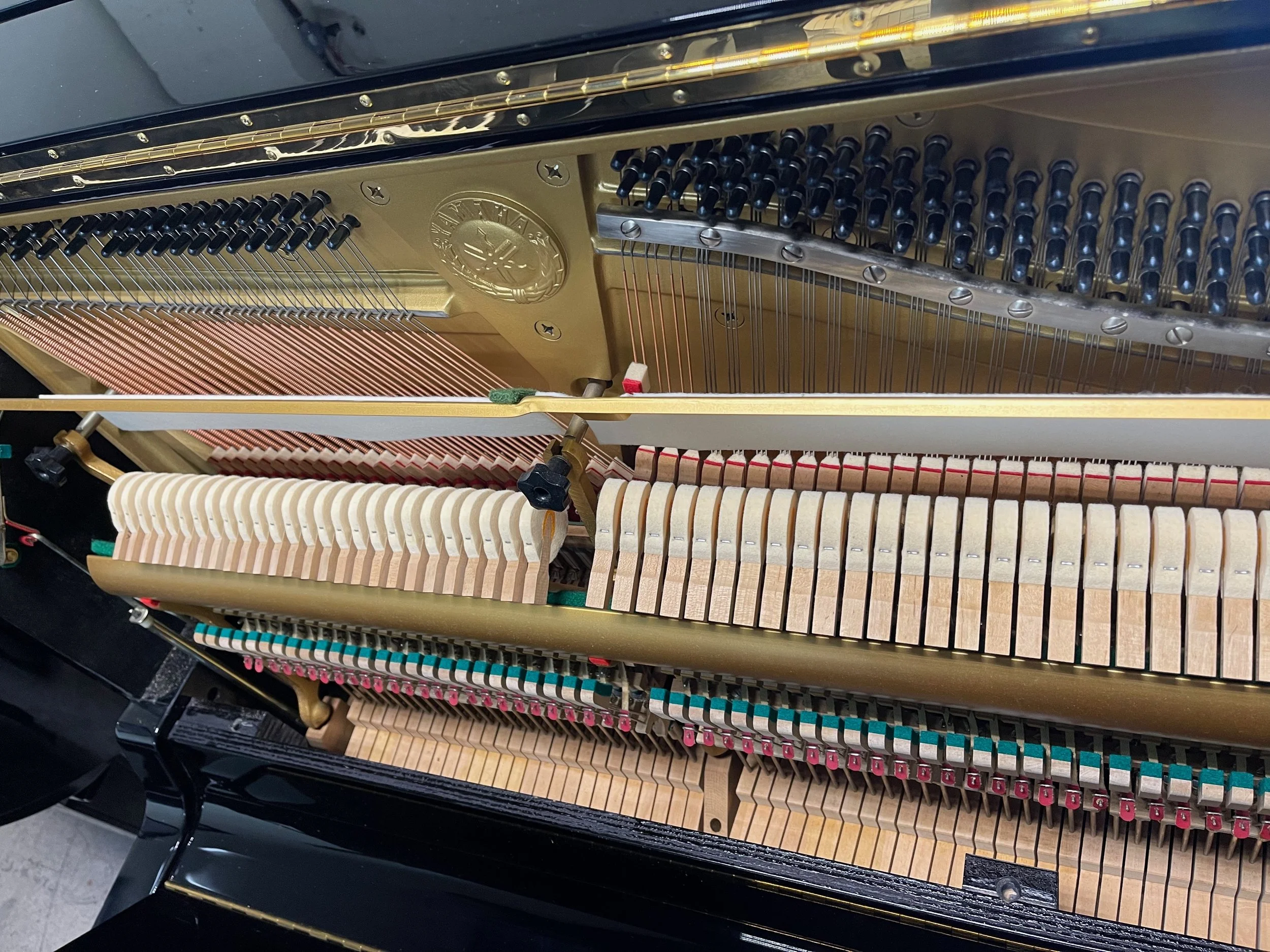 U3  85 2 - 1 (7).jpeg