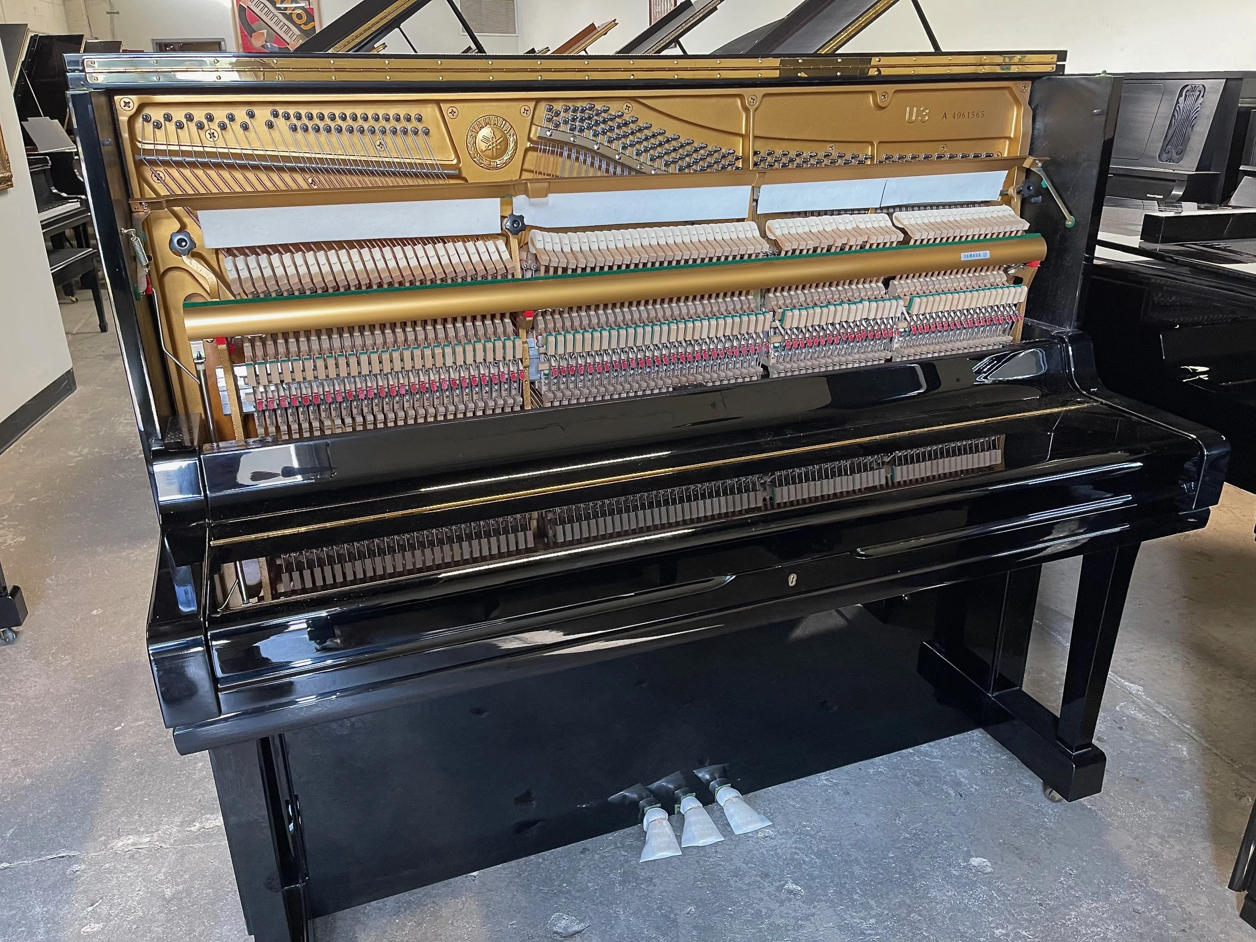 U3  85 2 - 1 (4).jpeg