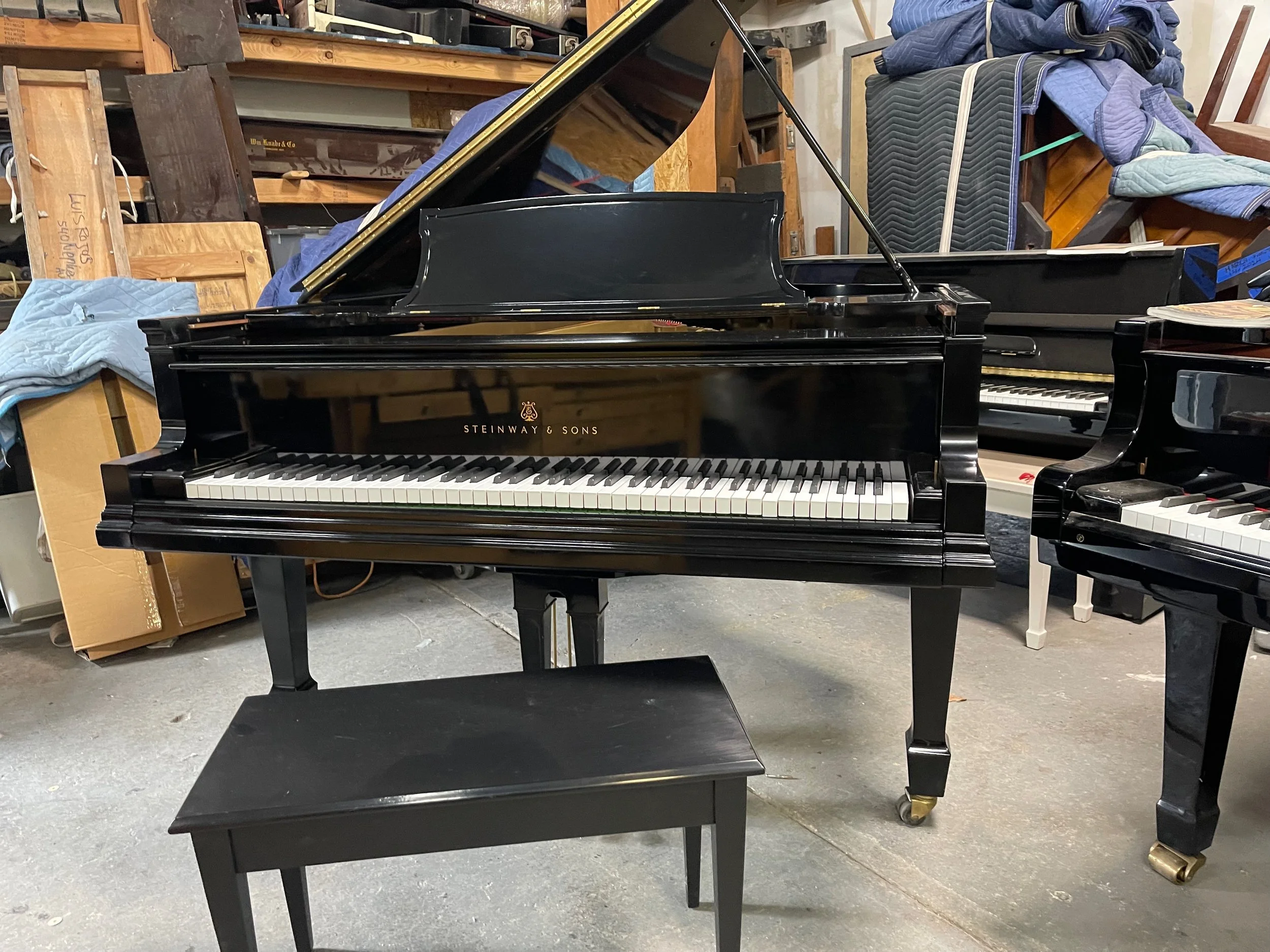 EX PLAYER - 1 (4).jpeg