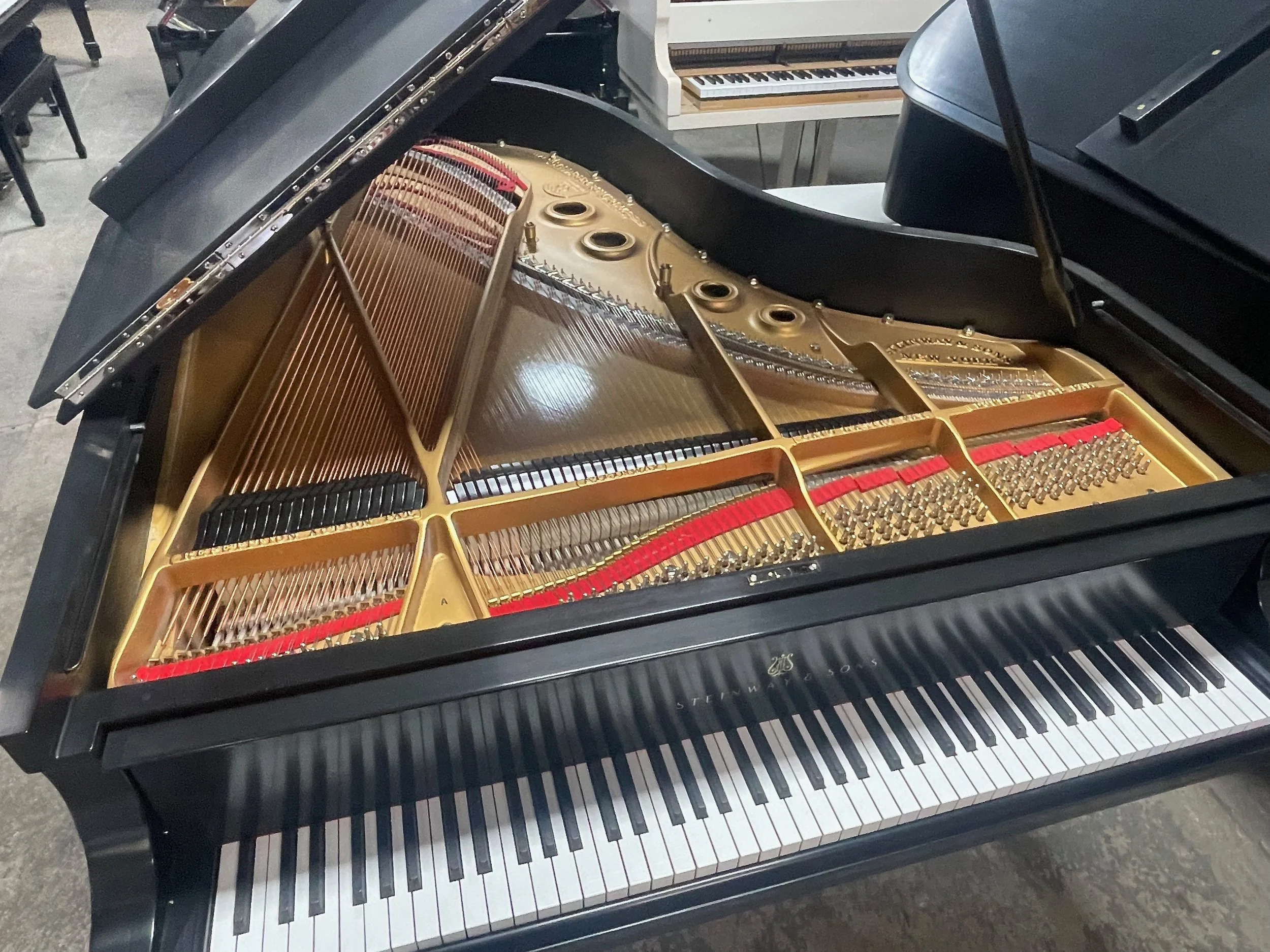 STEINWAY A 4 - 1 (2).jpeg