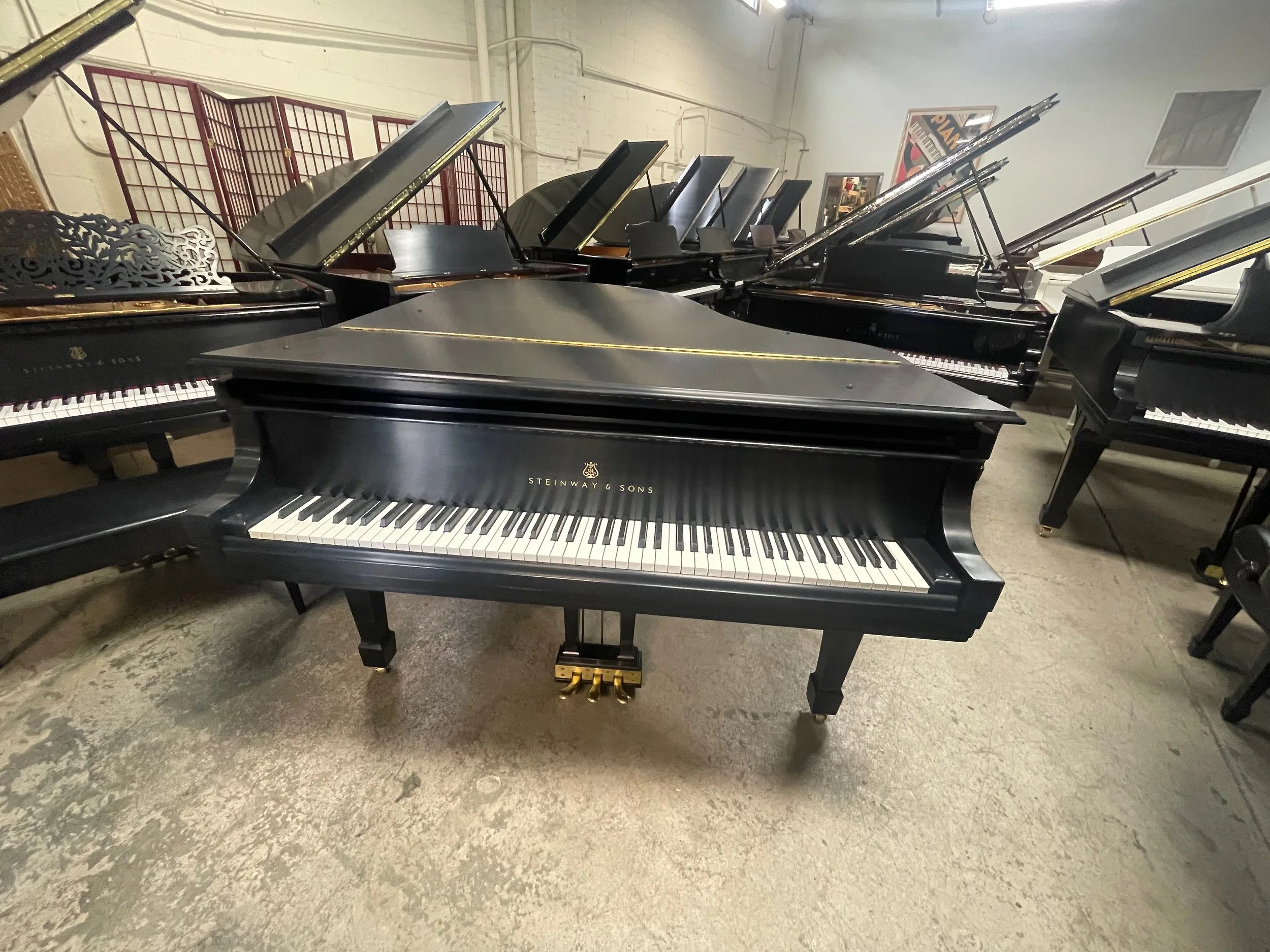 L RUBIN - 1 (5).jpeg