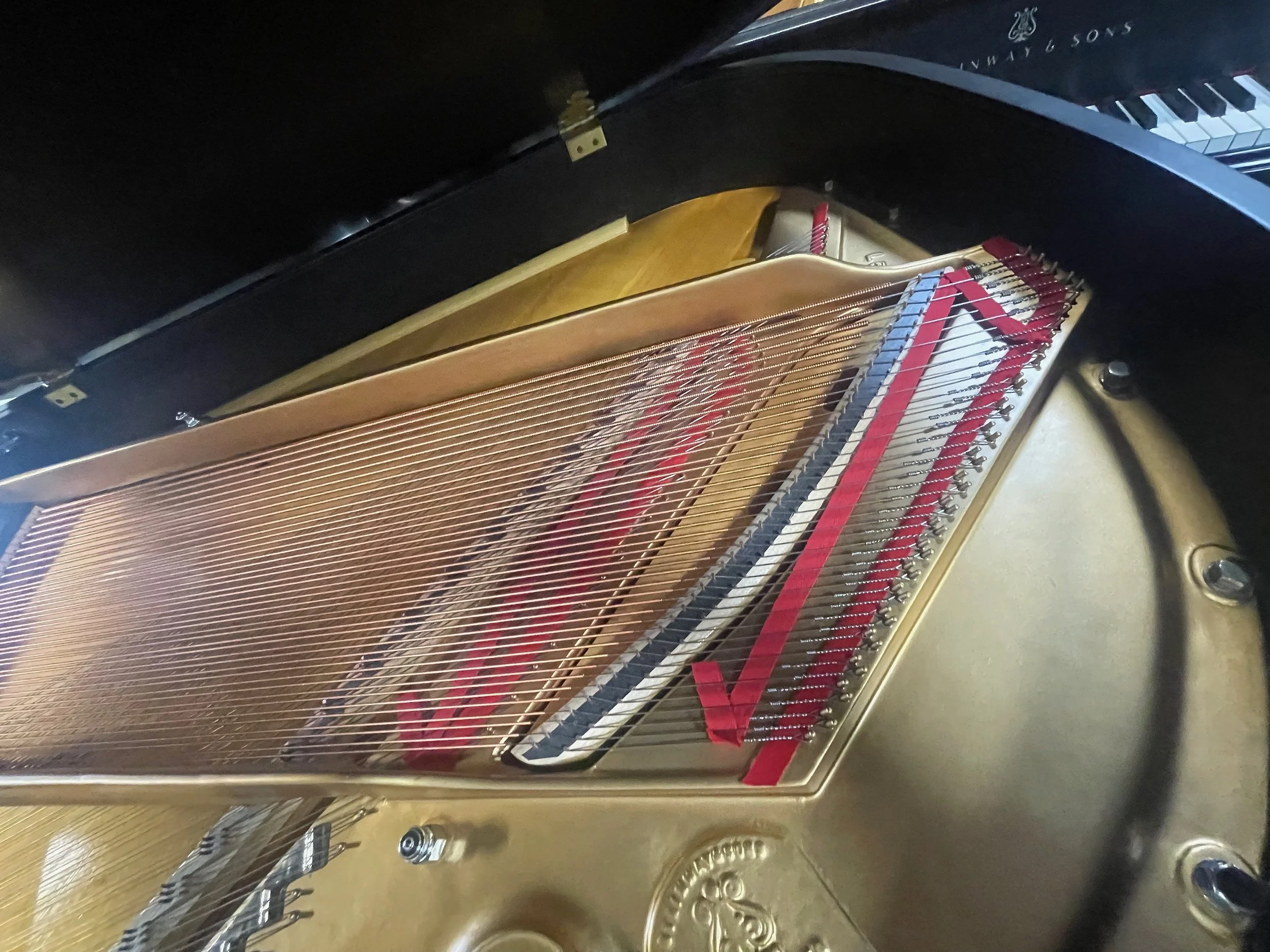 L RUBIN - 1 (4).jpeg