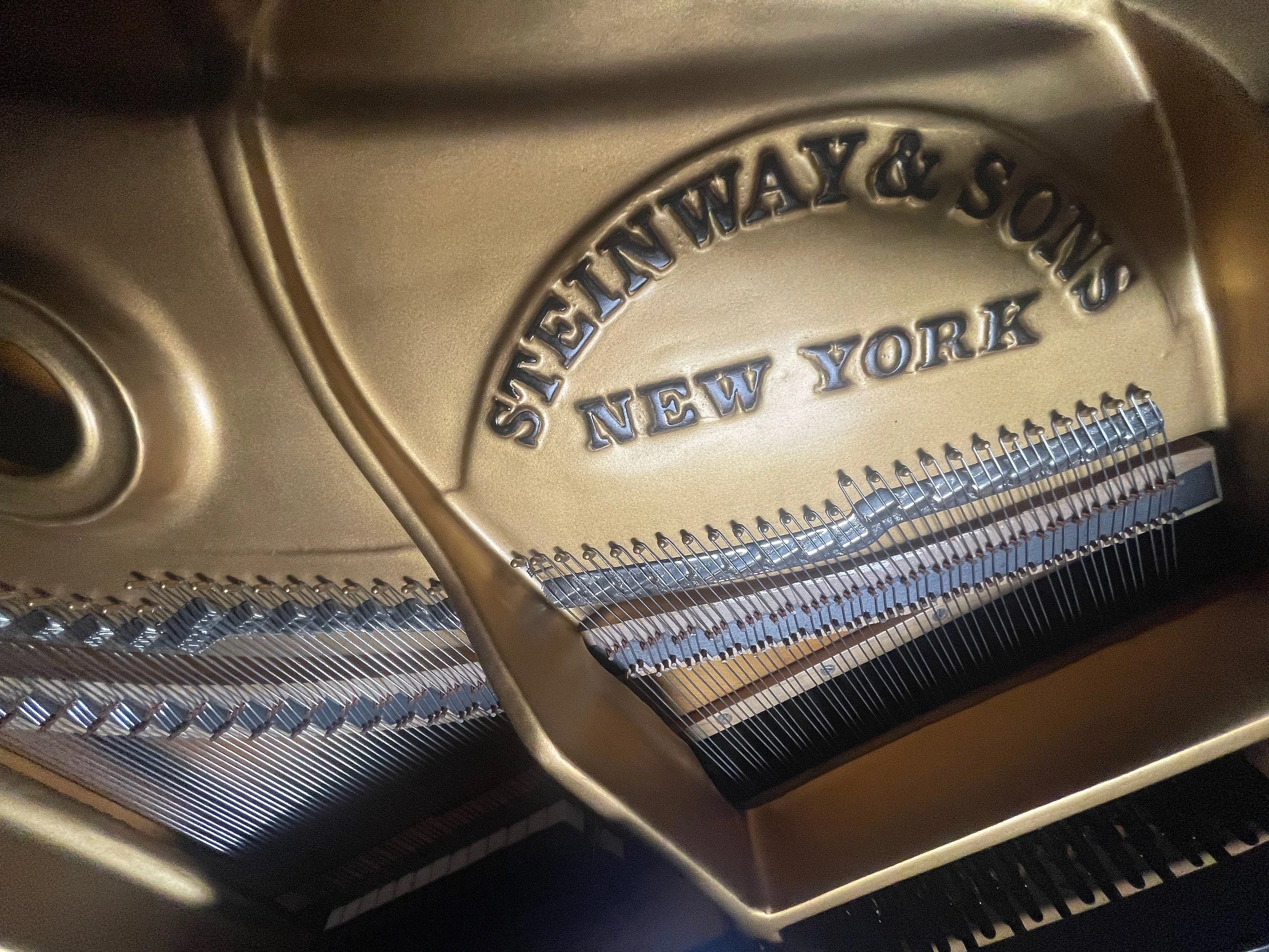 L RUBIN - 1 (2).jpeg