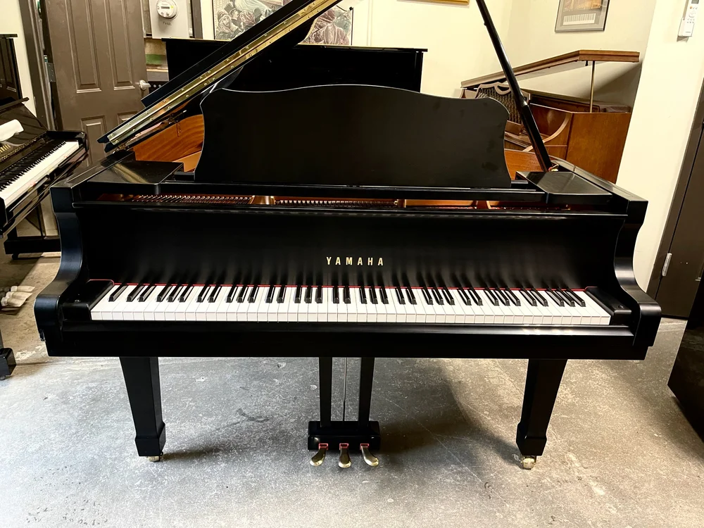 Yamaha Black Grand Piano