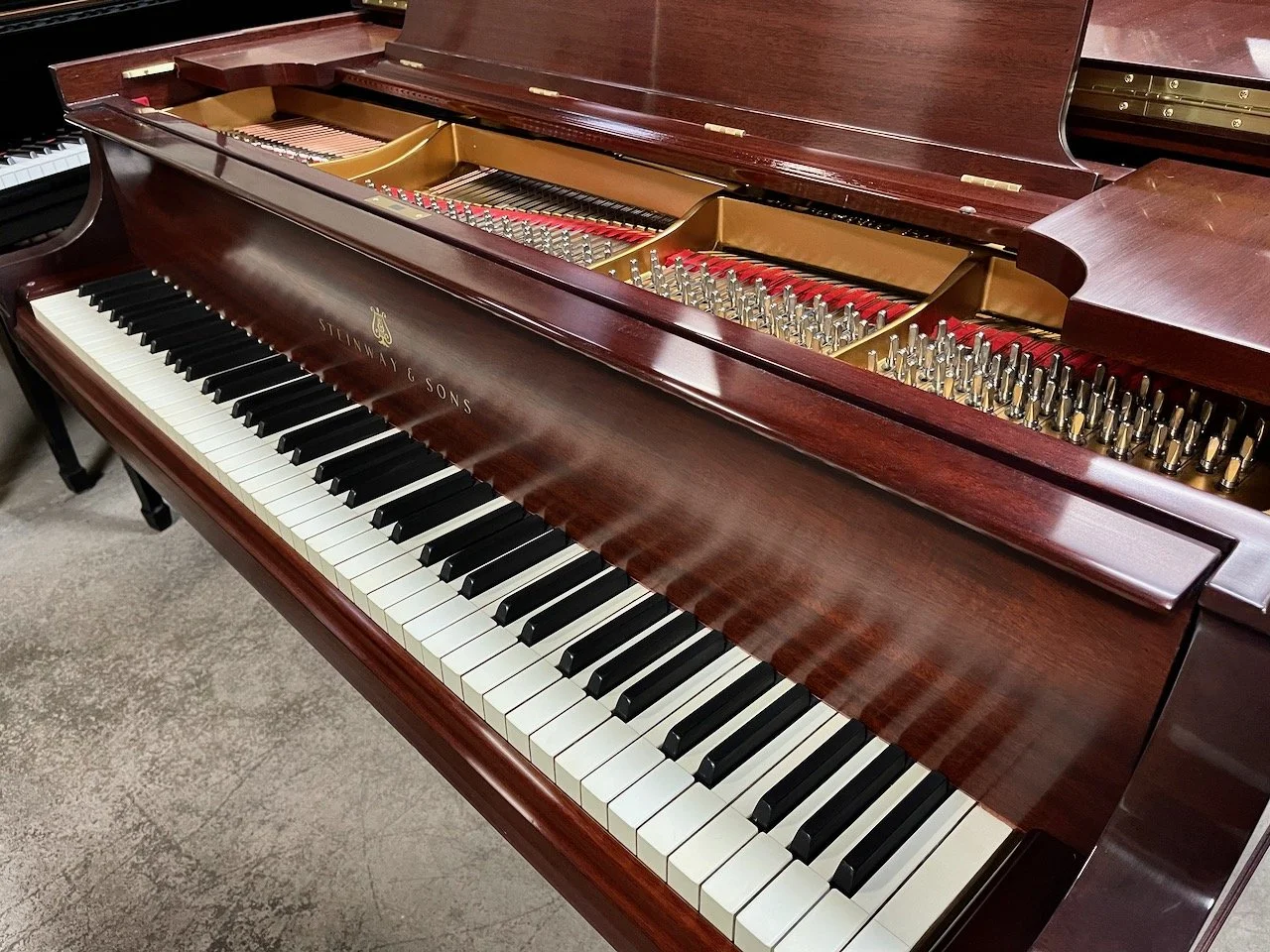 M Mahg - 1 (12).jpeg