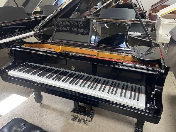 B HIGH GLOSS - 600 2.jpg