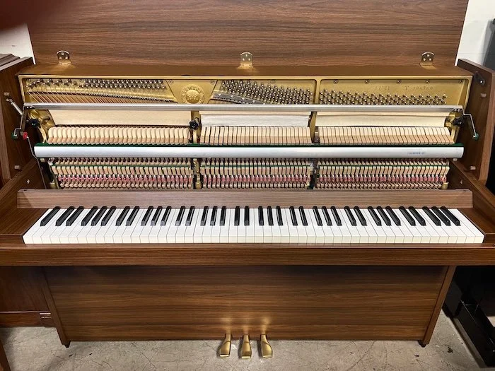 LU YAMAHA - 1 (1).jpeg