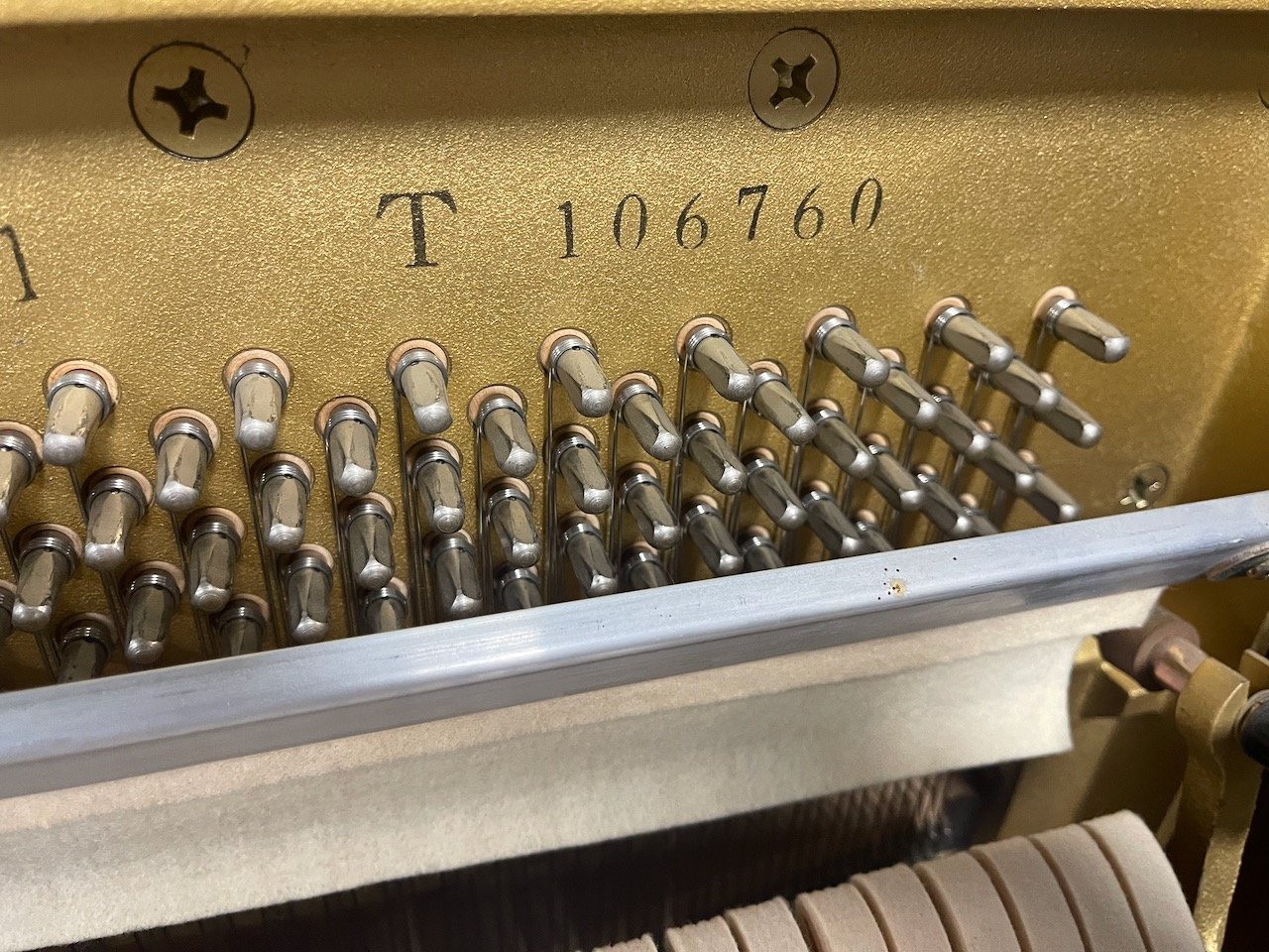 LU YAMAHA - 1 (2).jpeg