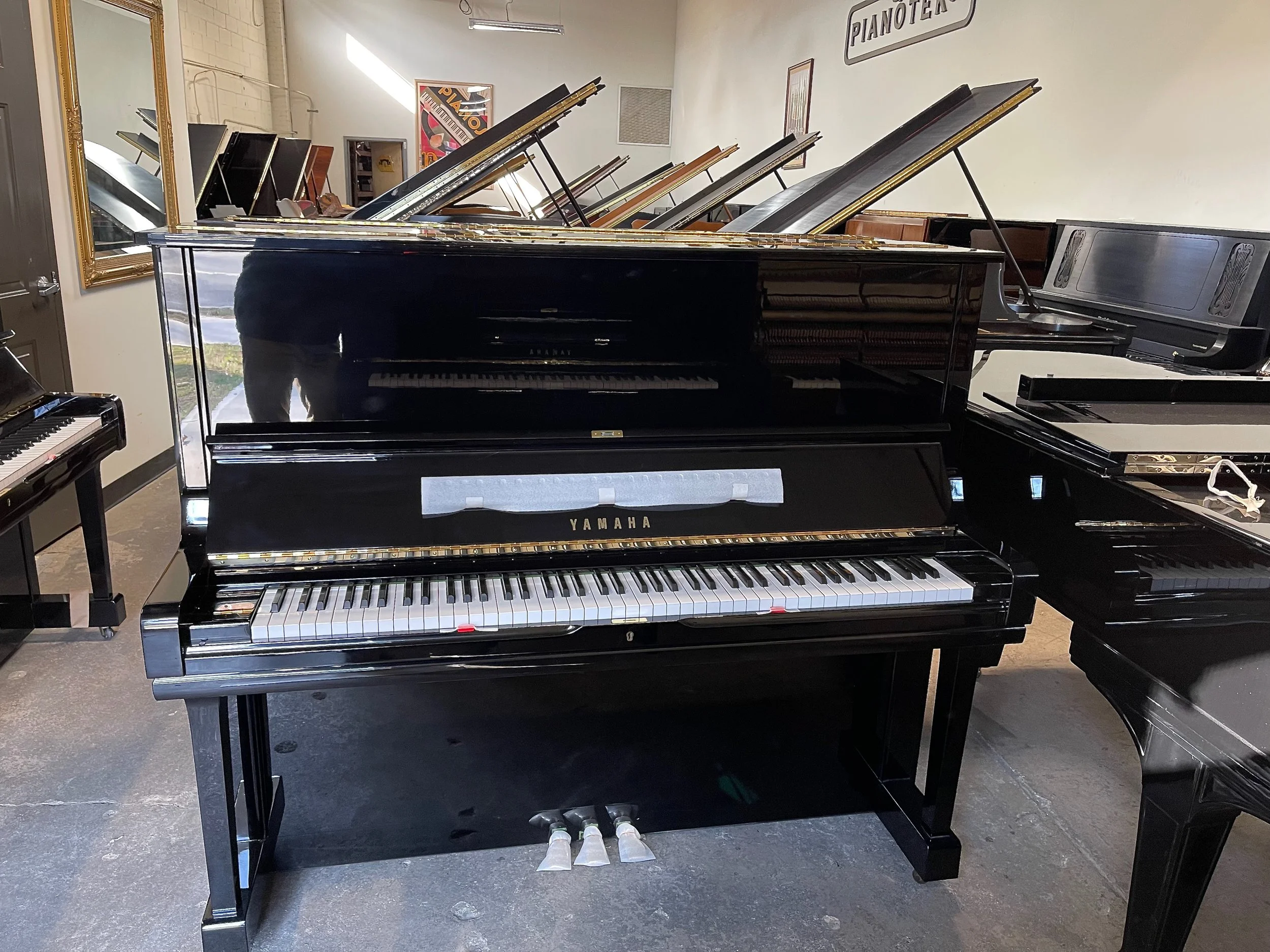 U3  85 2 - 1 (2).jpeg