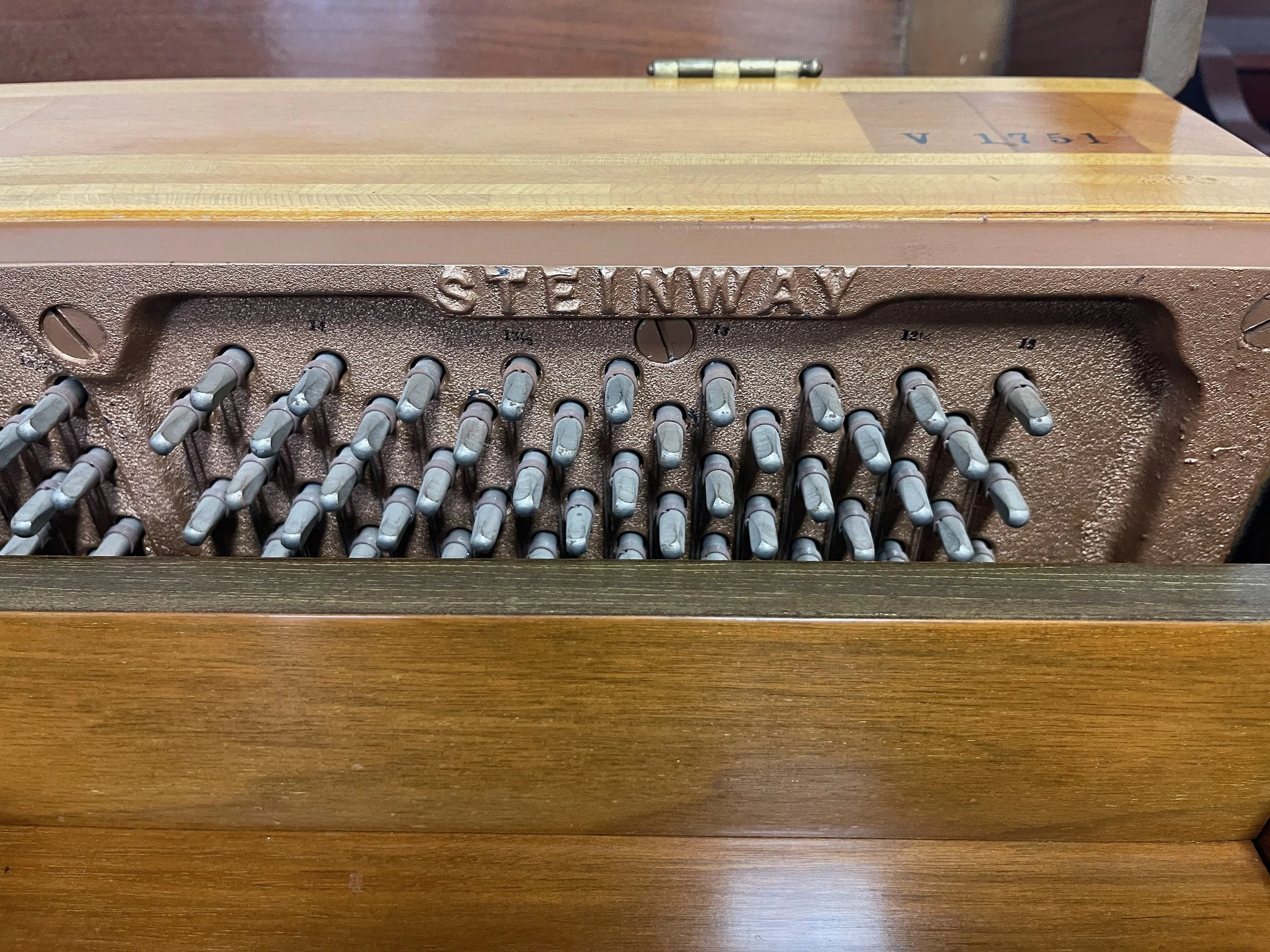 STEIN CON W - 1 (4).jpeg