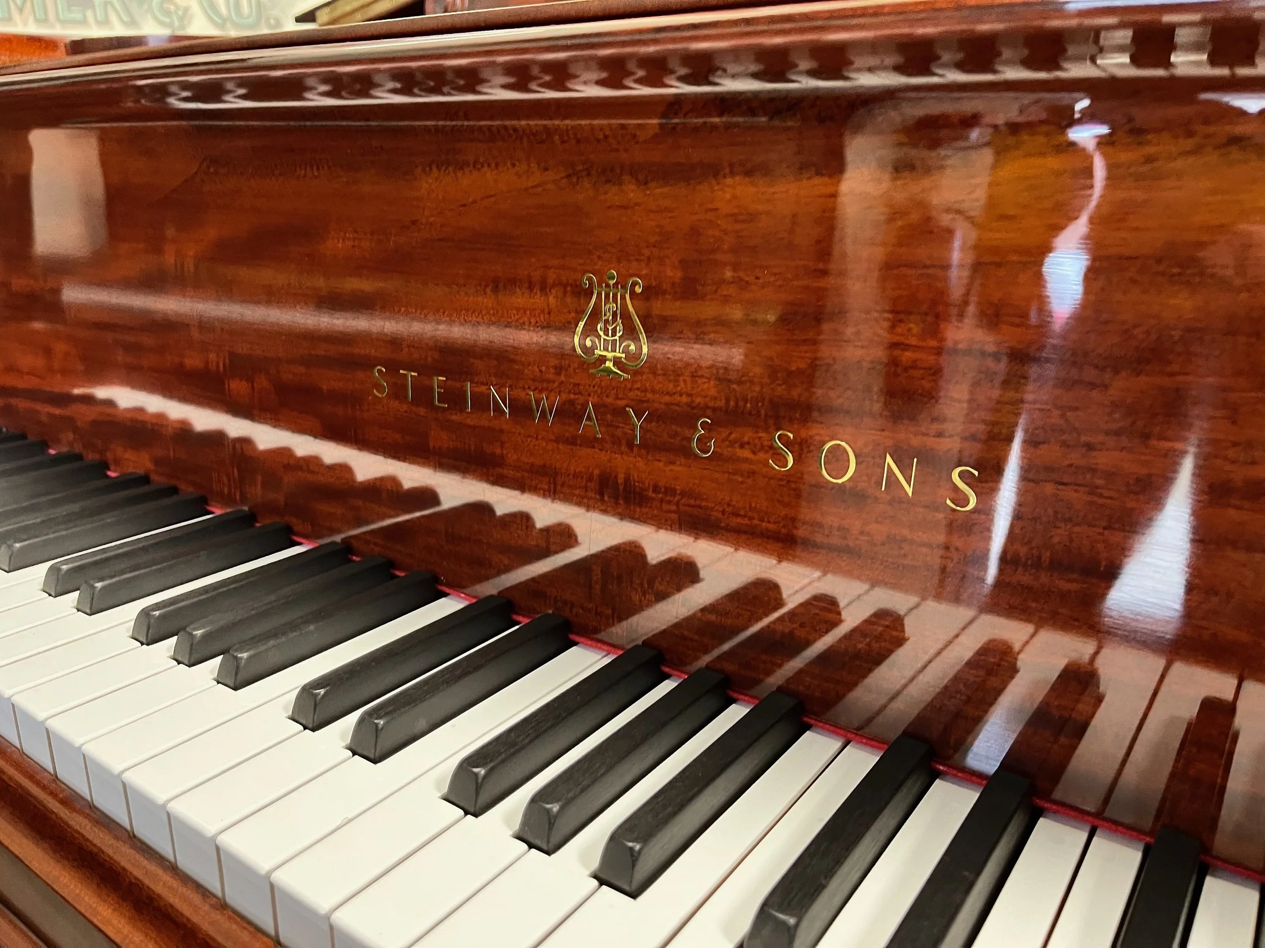 a tulip top - 1 (2).jpeg