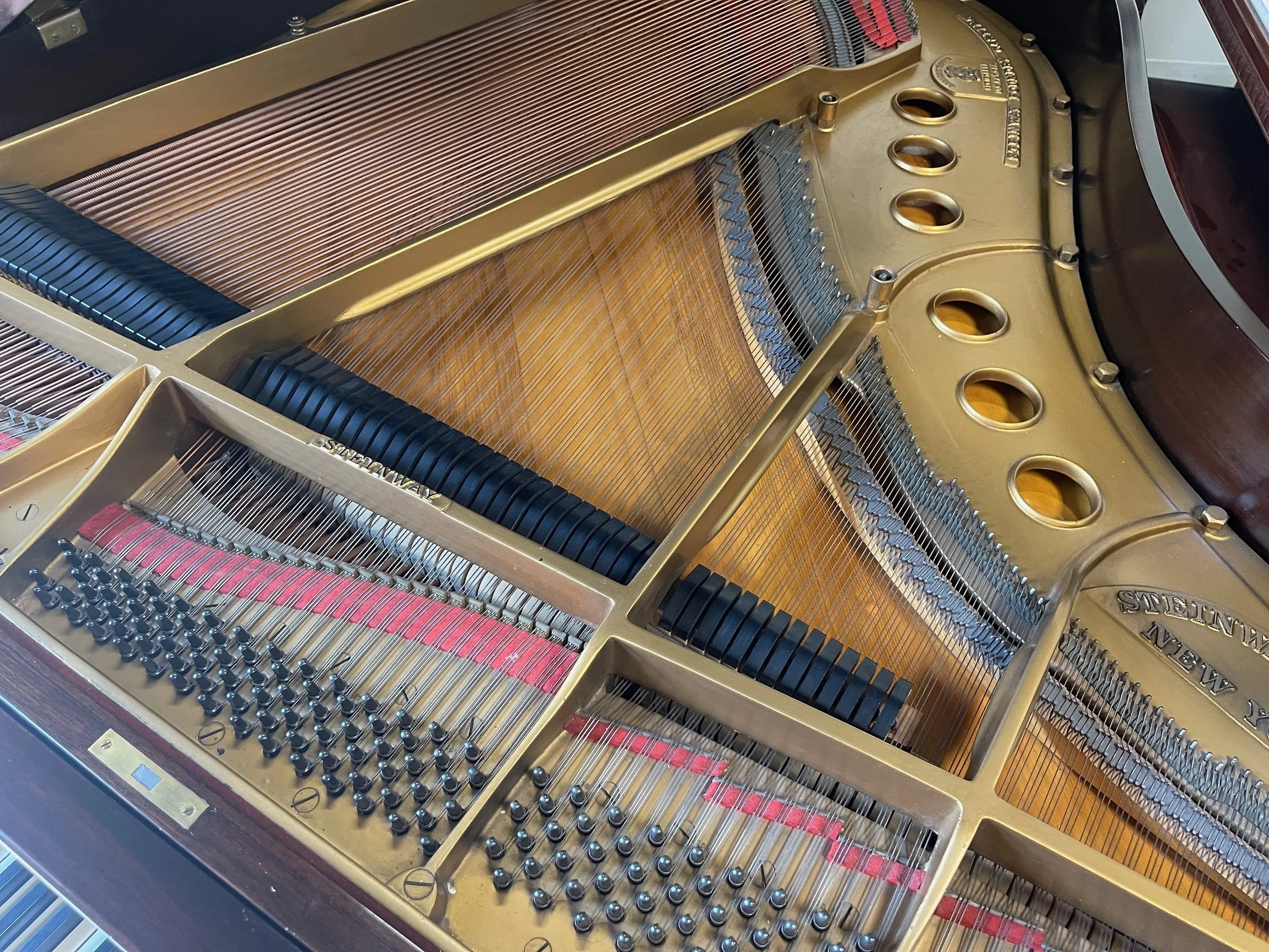 M MAHG VID - 1 (5).jpeg