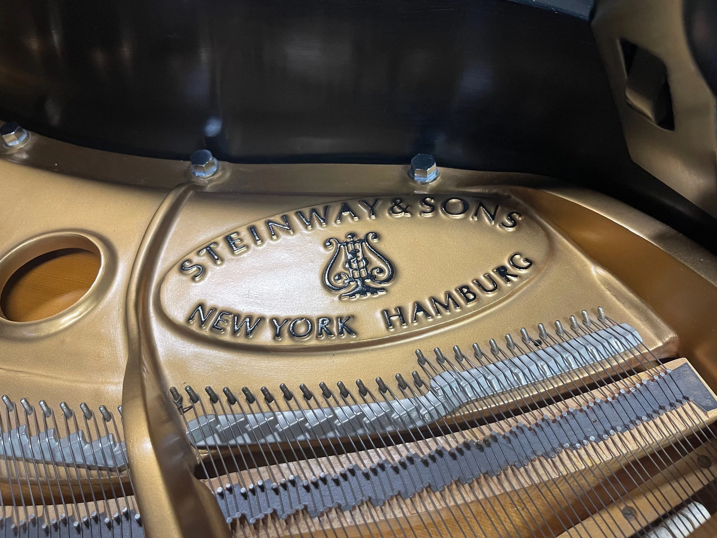 molfetta m - 1 (3).jpeg