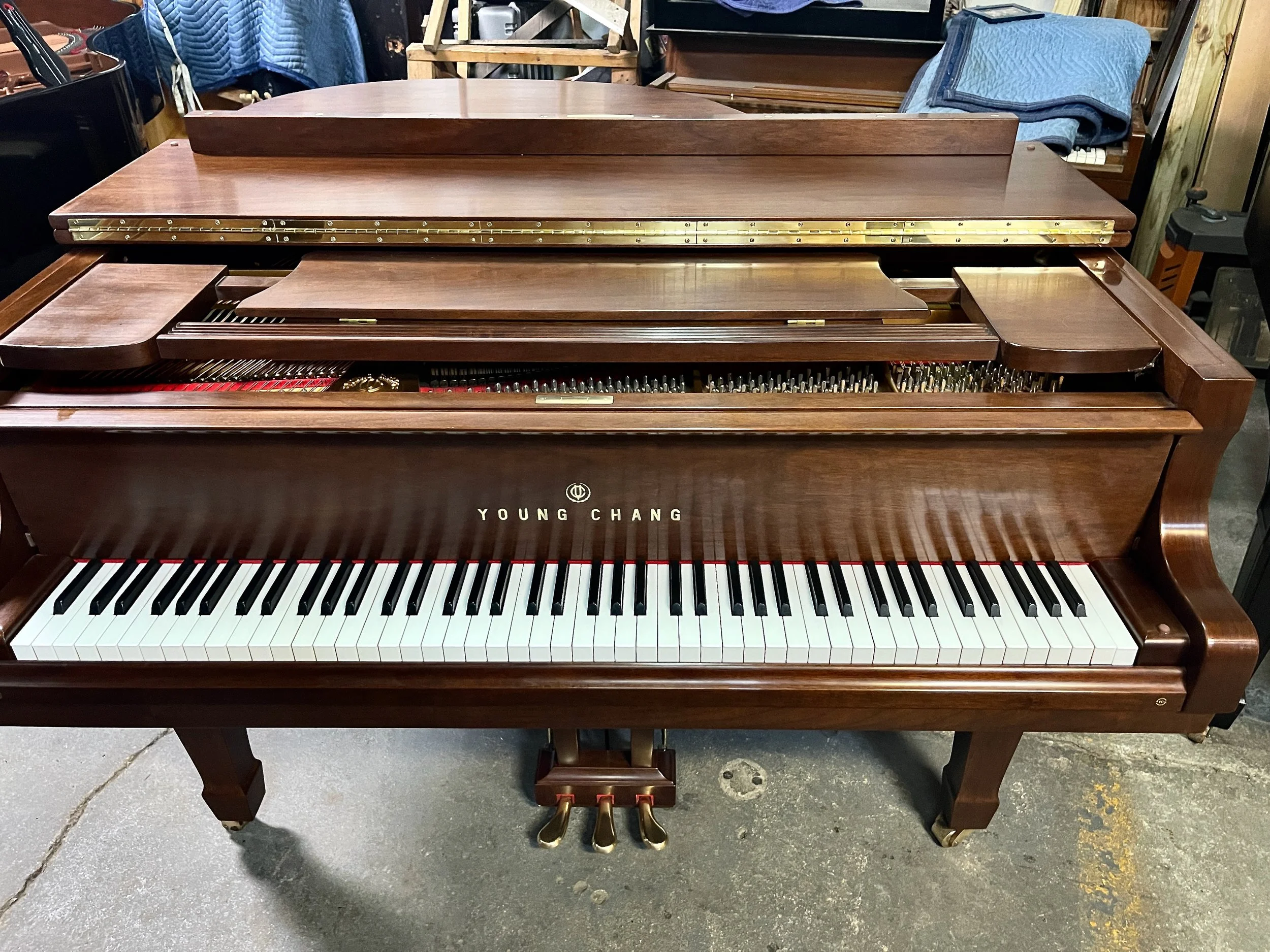 YC 157 WAL - 1 (2).jpeg