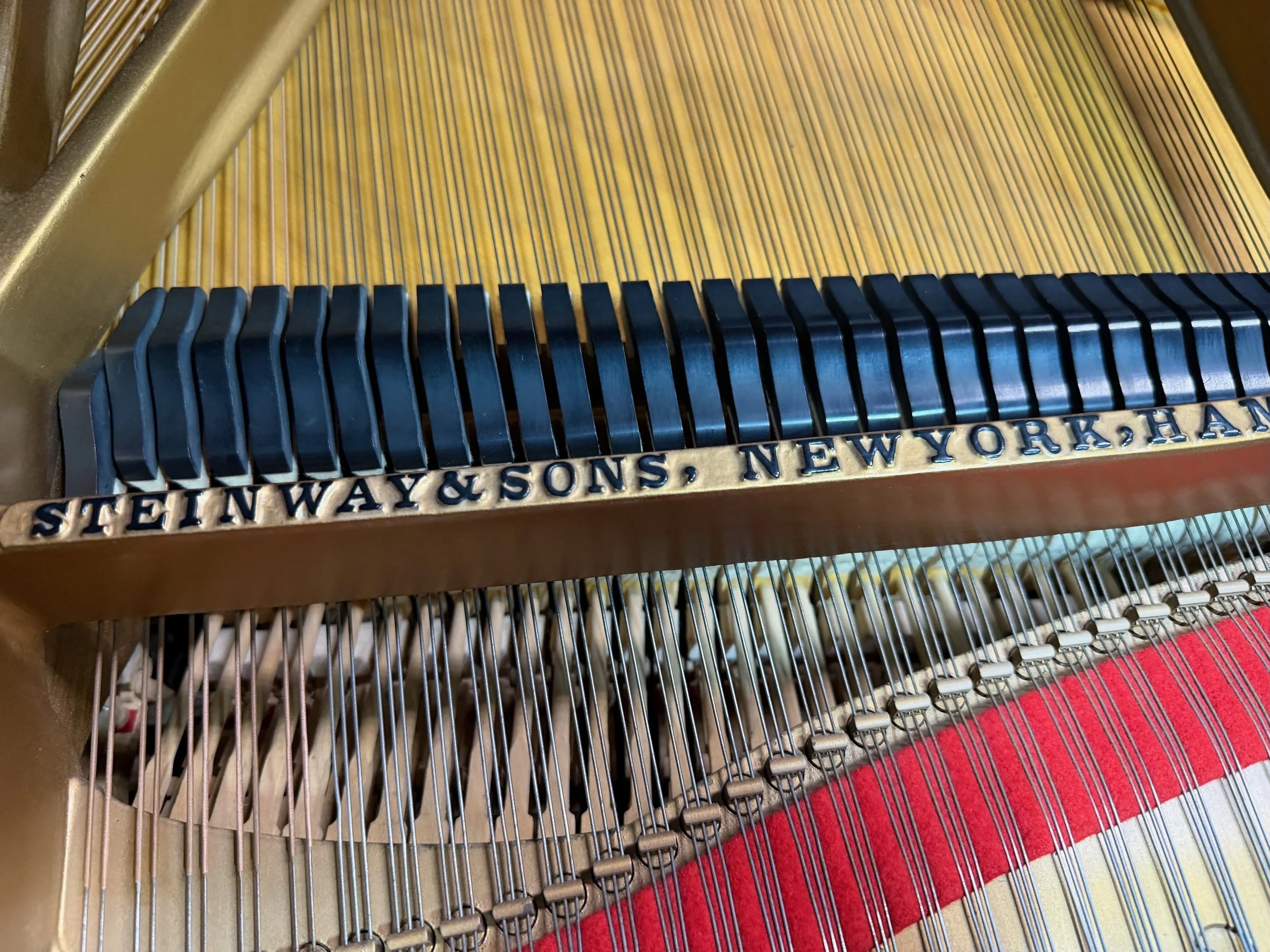 A SPERGAL - 1 (17).jpeg