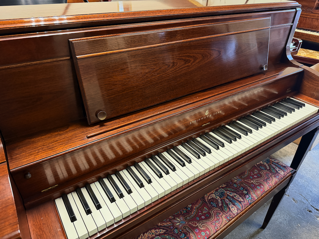 1300 stein - 1 (4).png