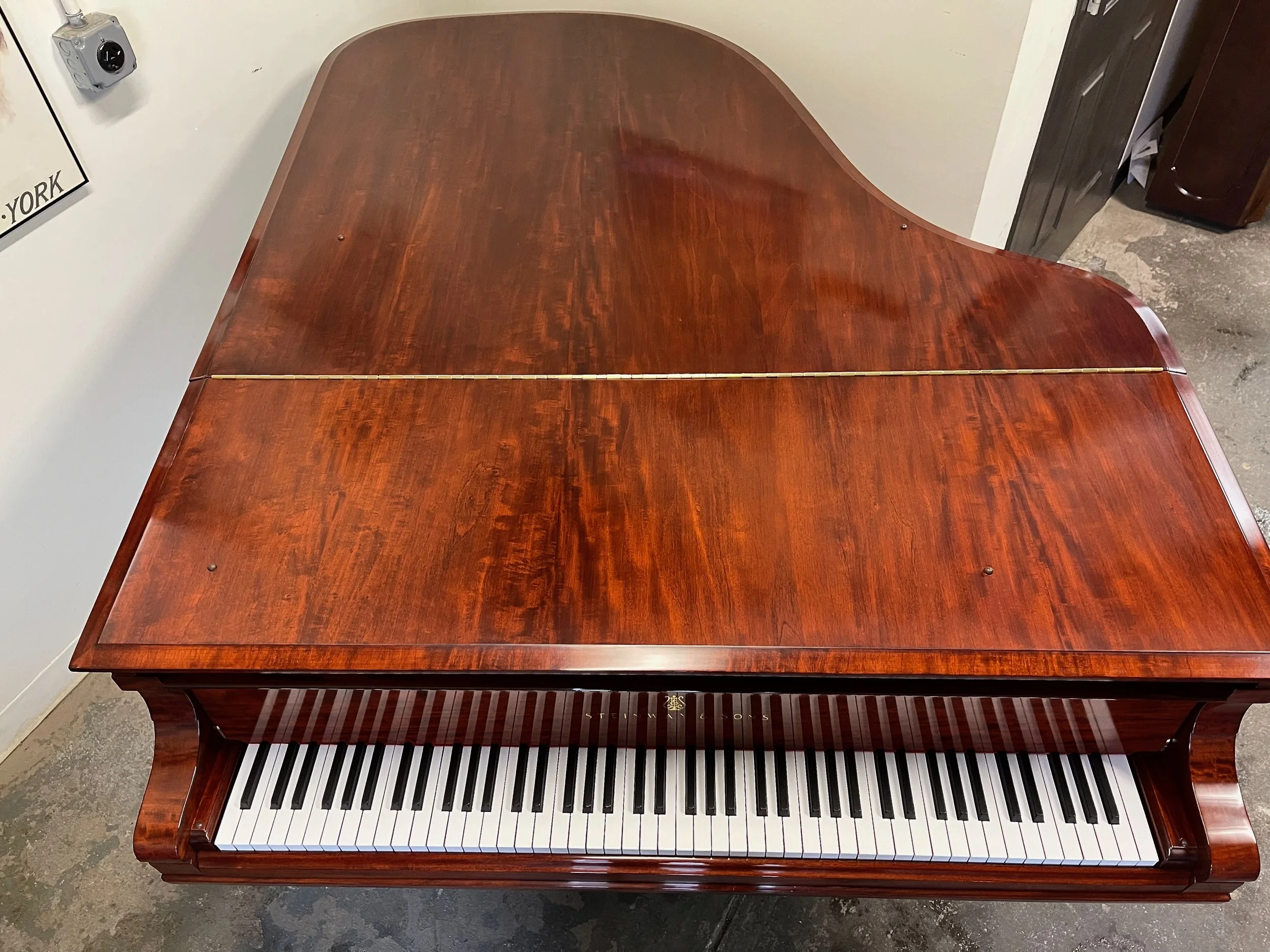 a tulip top - 1.jpeg