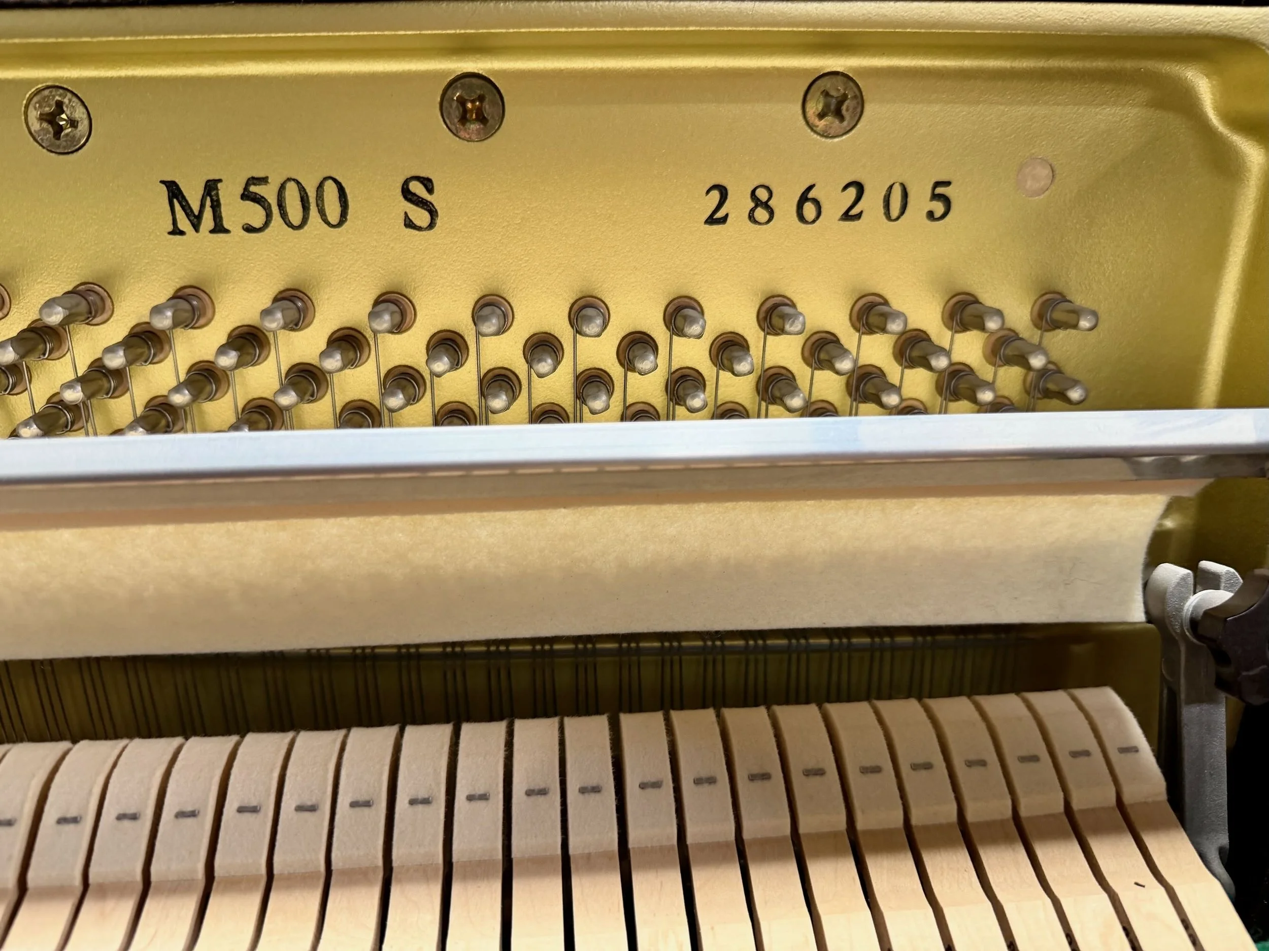 M500 - 1 (17).jpeg