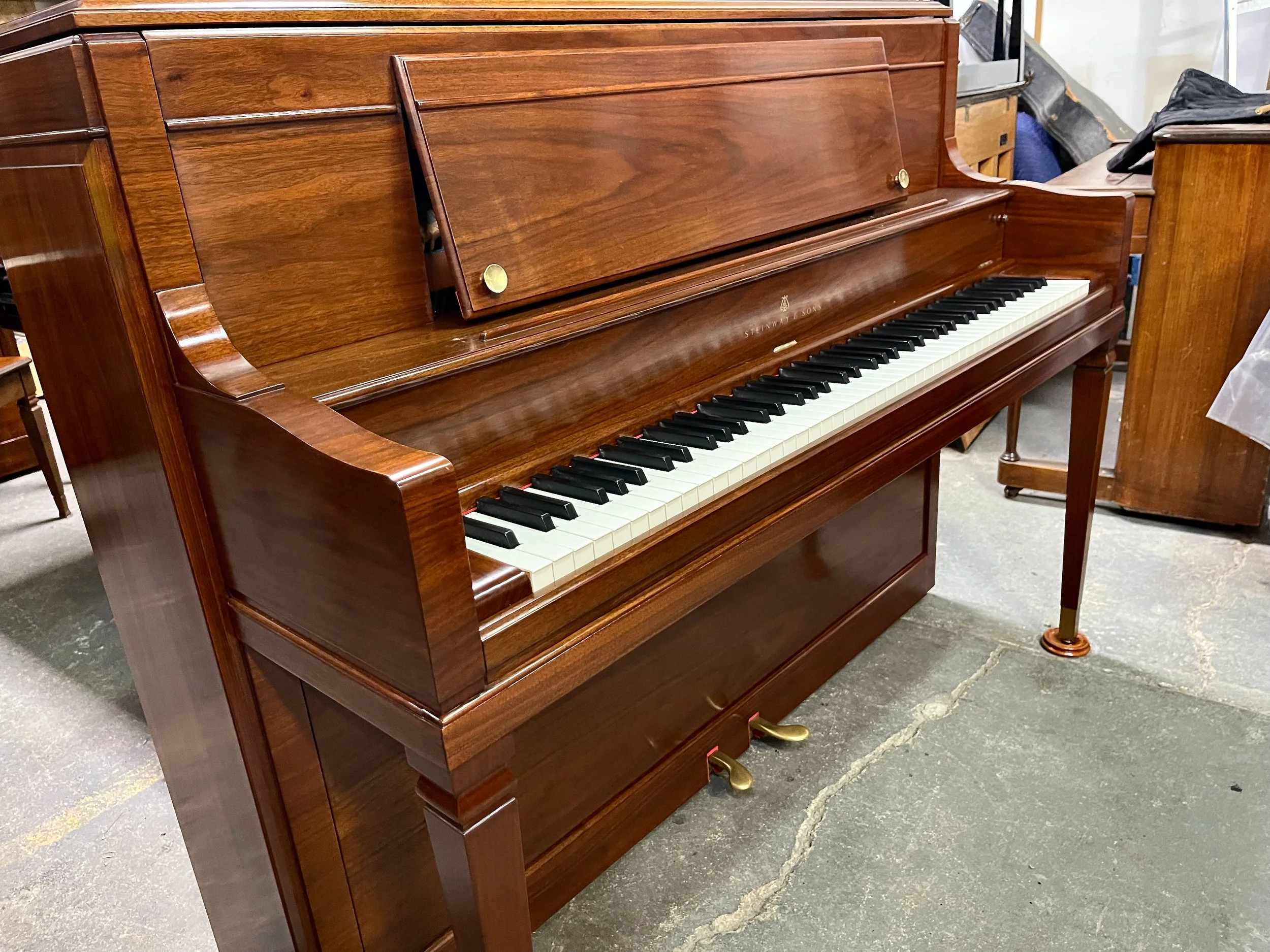 STEIN W U - 1 (3).jpeg