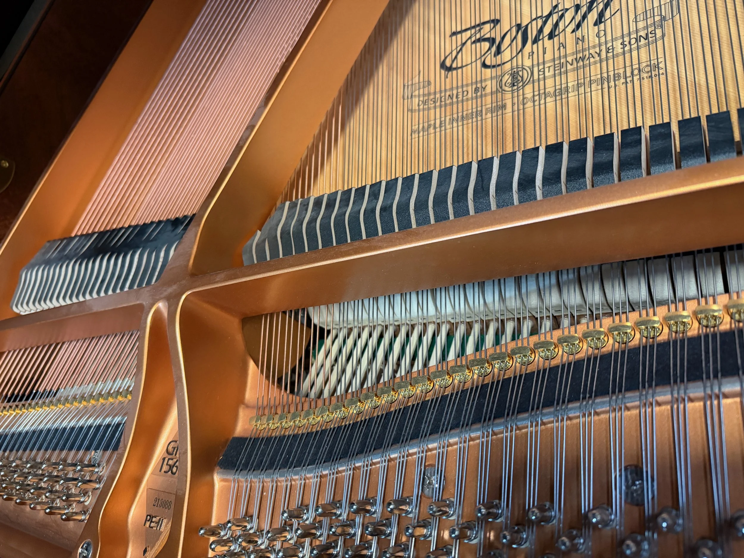 BOSTON YENI - 3.jpeg