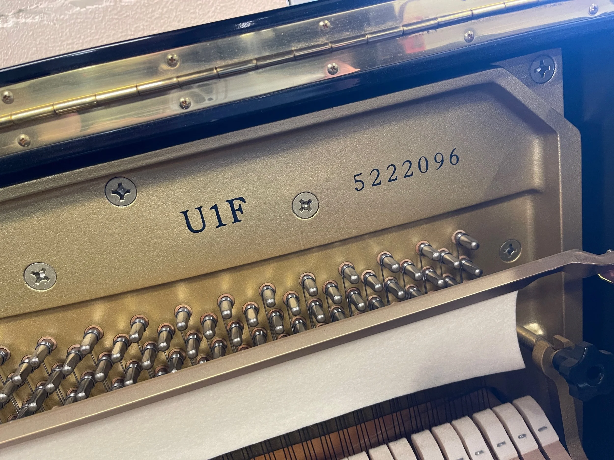 U1 Black - 1 (1).jpeg