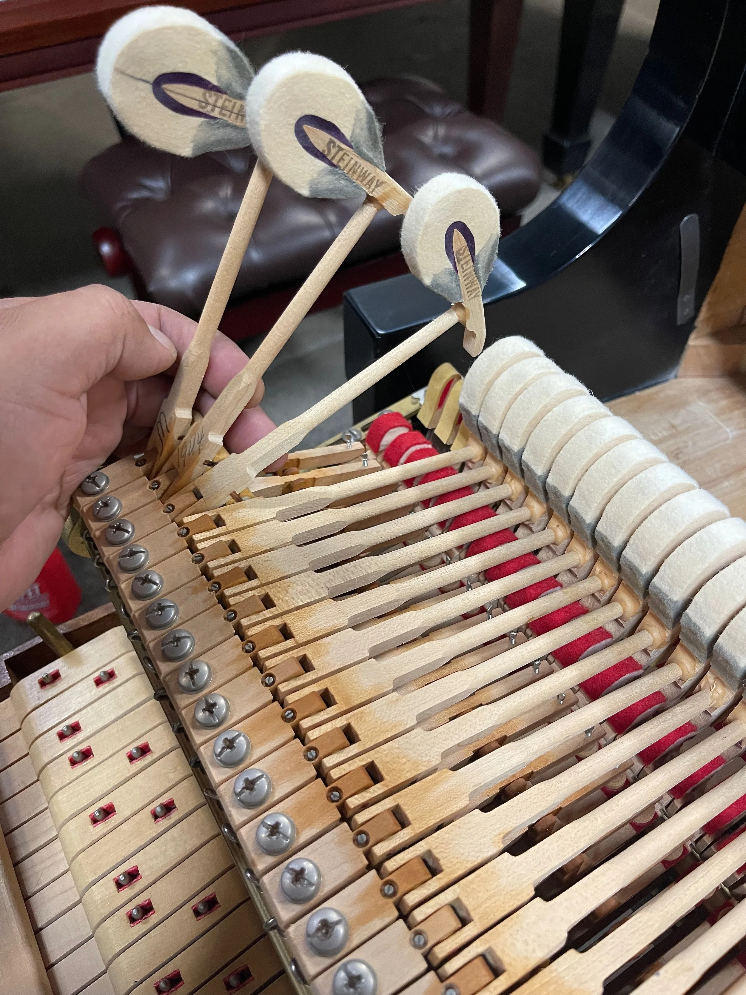 molfetta m - 1 (5).jpeg