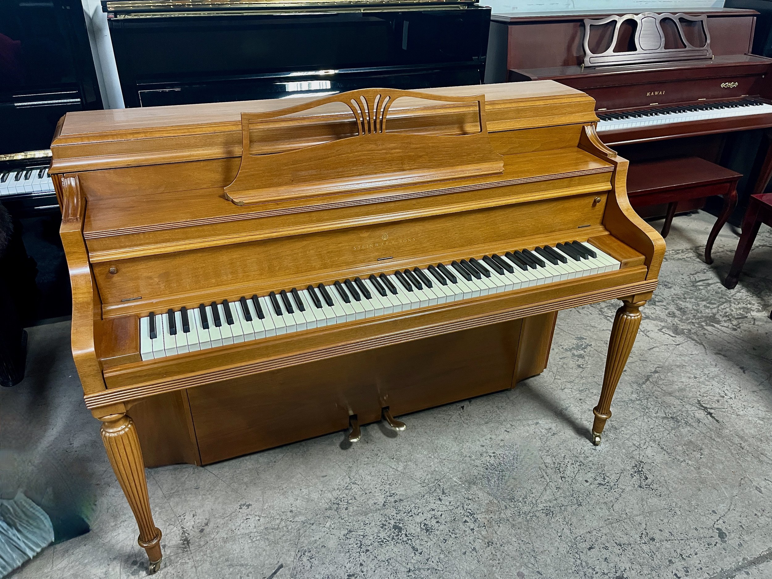 STEIN CON W - 1 (2).jpeg