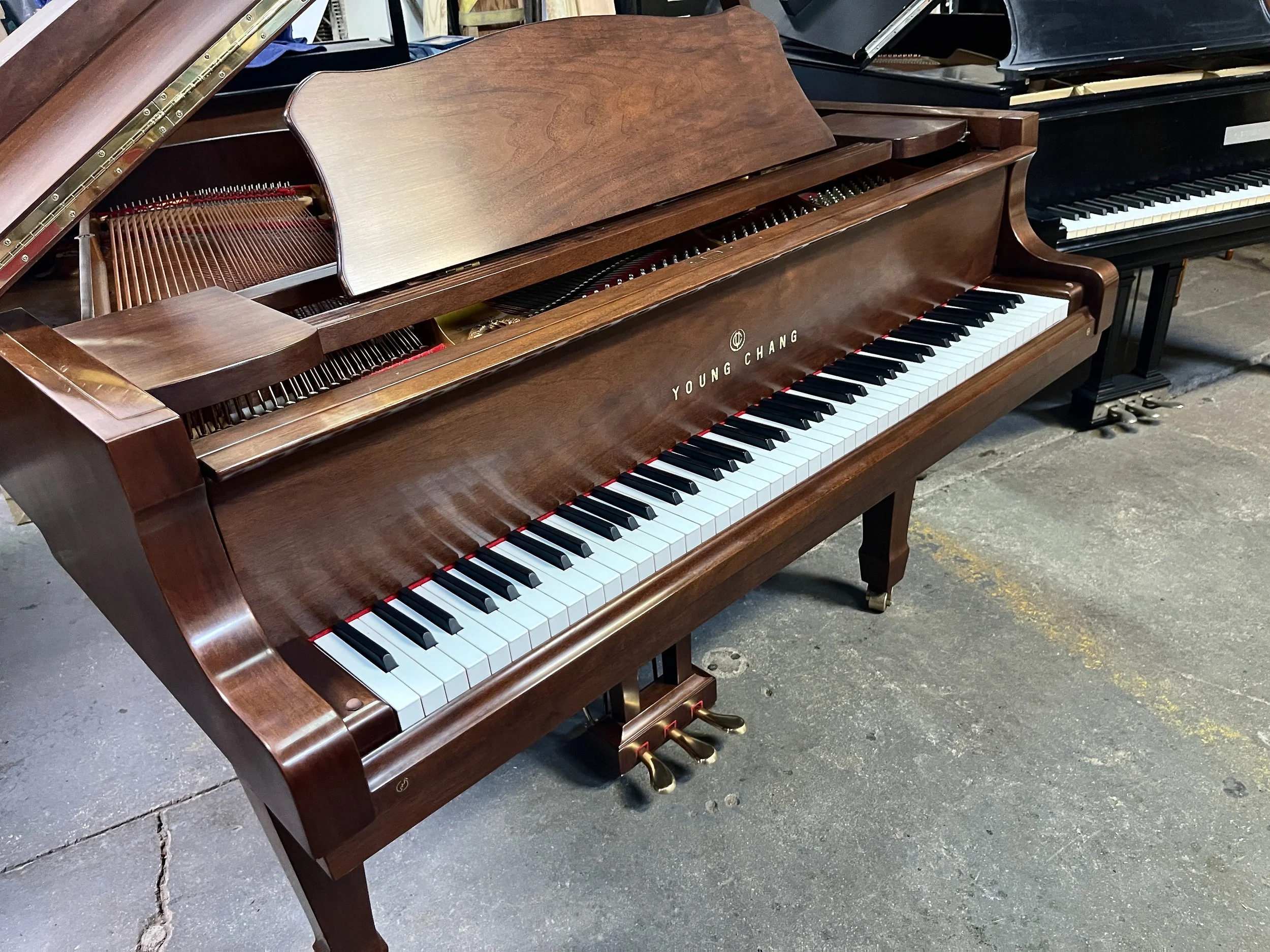 YC 157 WAL - 1 (6).jpeg