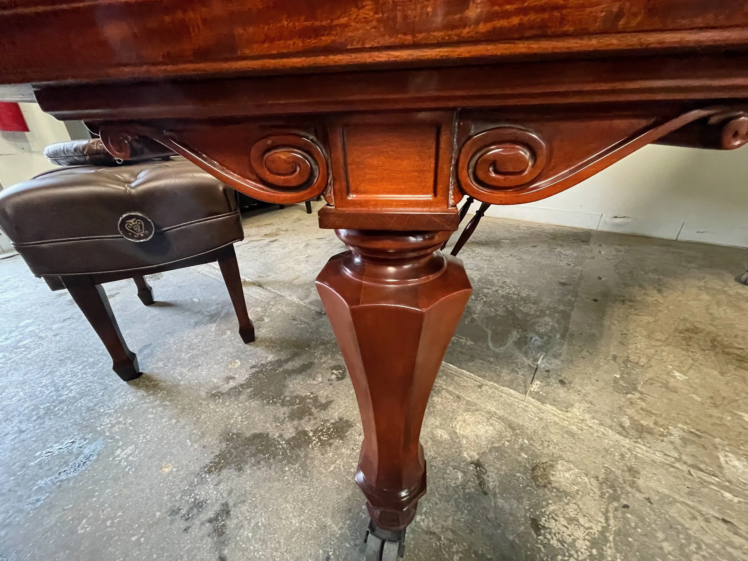 a tulip top - 1 (1).jpeg